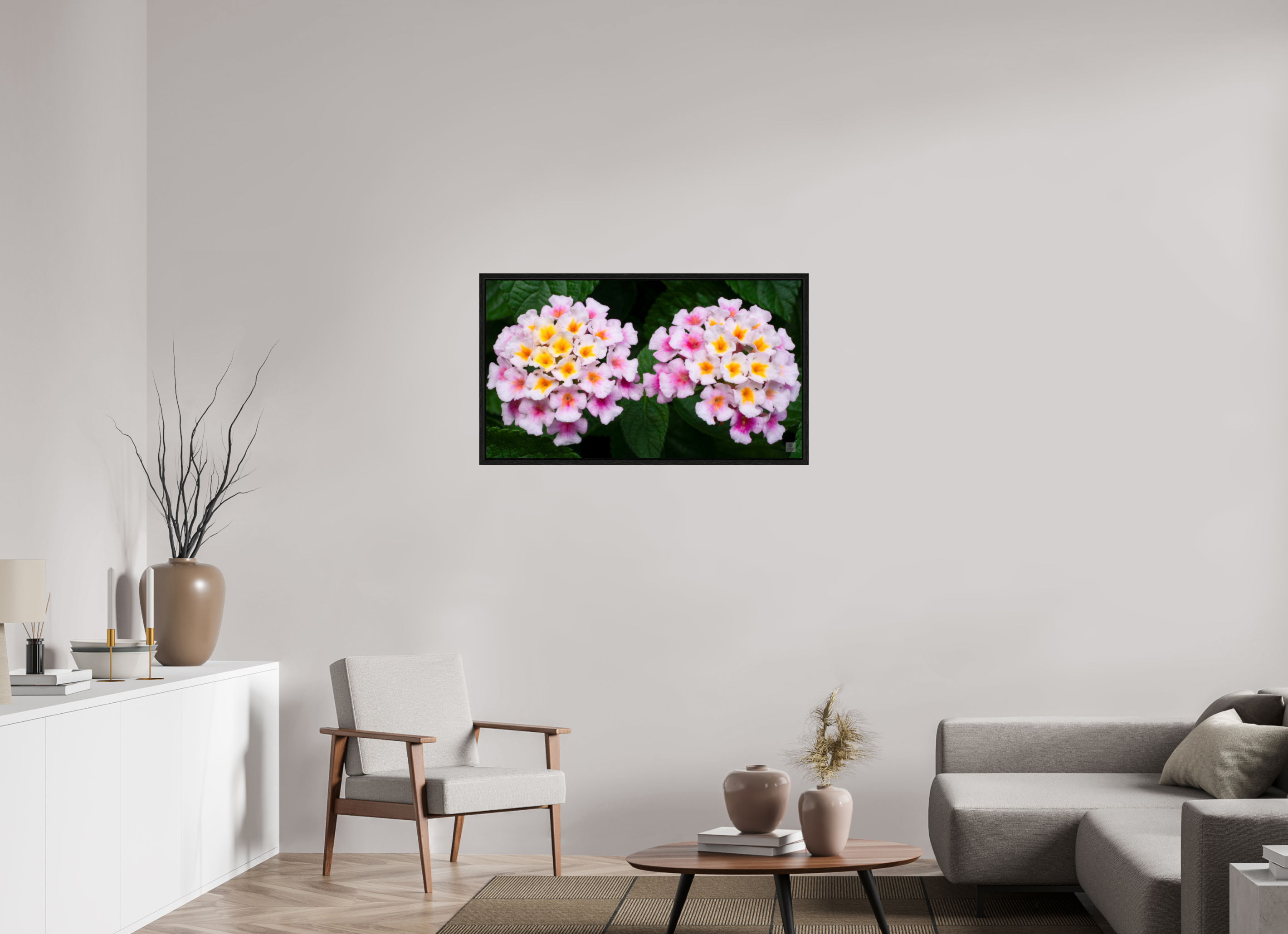 Lantana_double pink with white yellow_aspect ratio 16x9