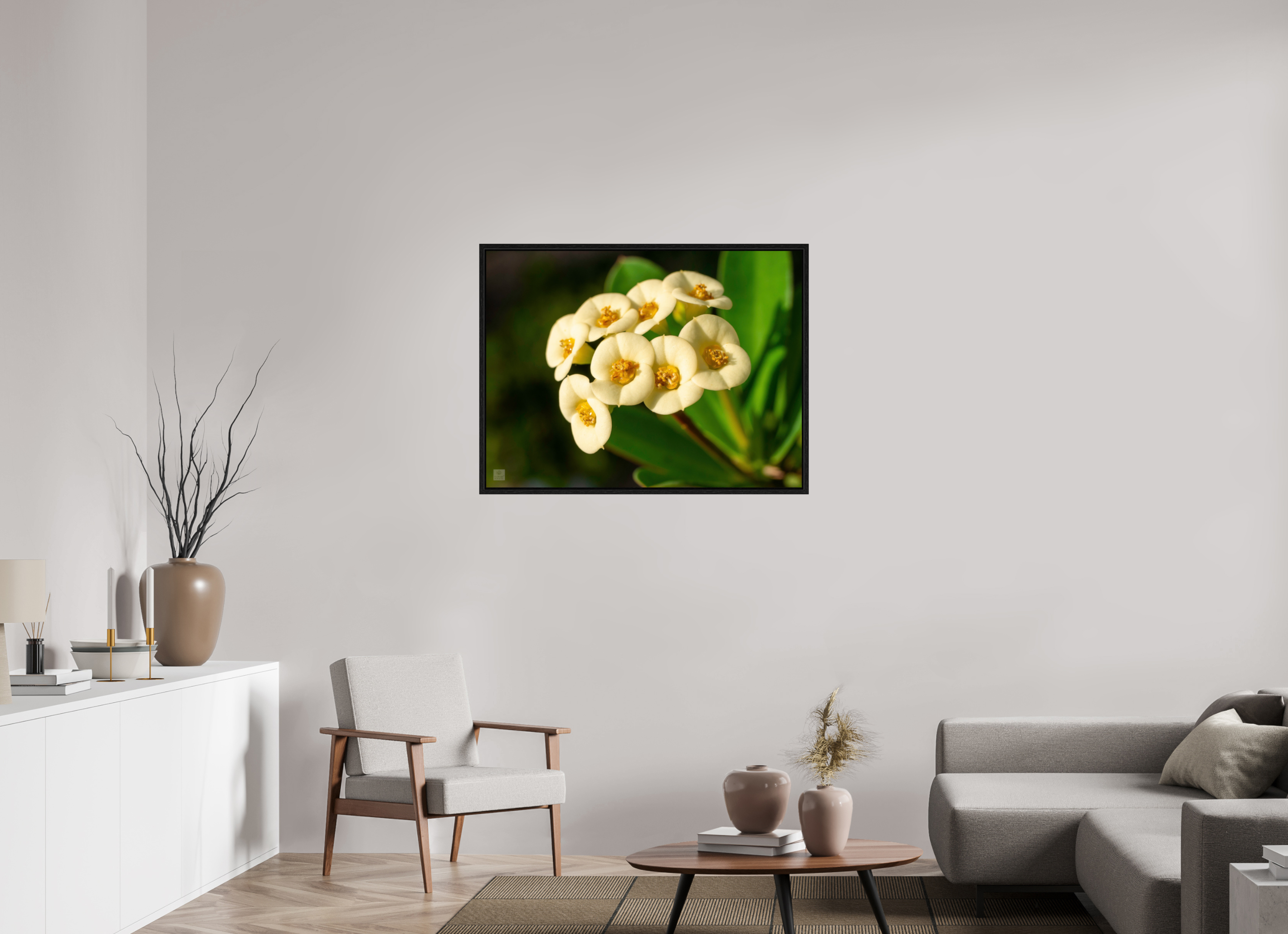 Crown of Thorns_flower group_aspect ratio 4:3