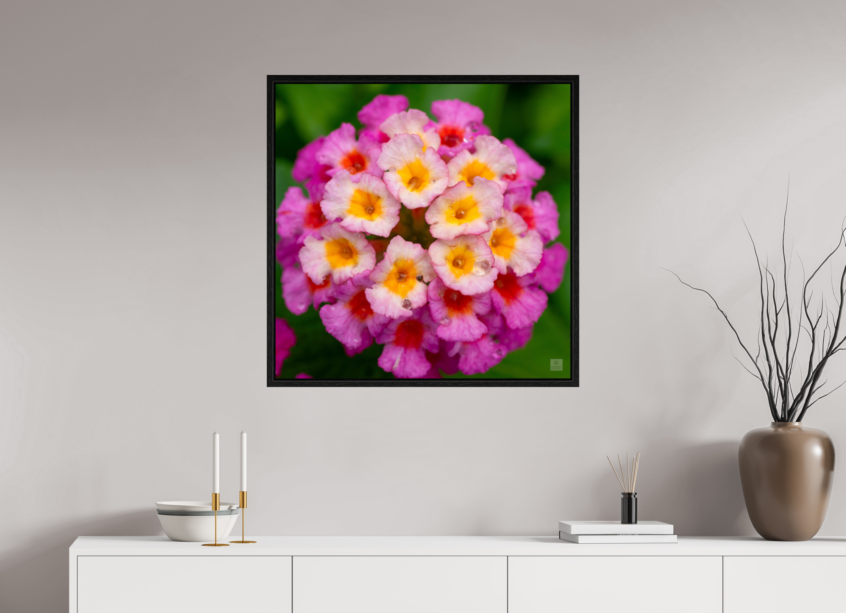 Lantana_deep pink with yellow_water droplets_aspect ratio 1x1