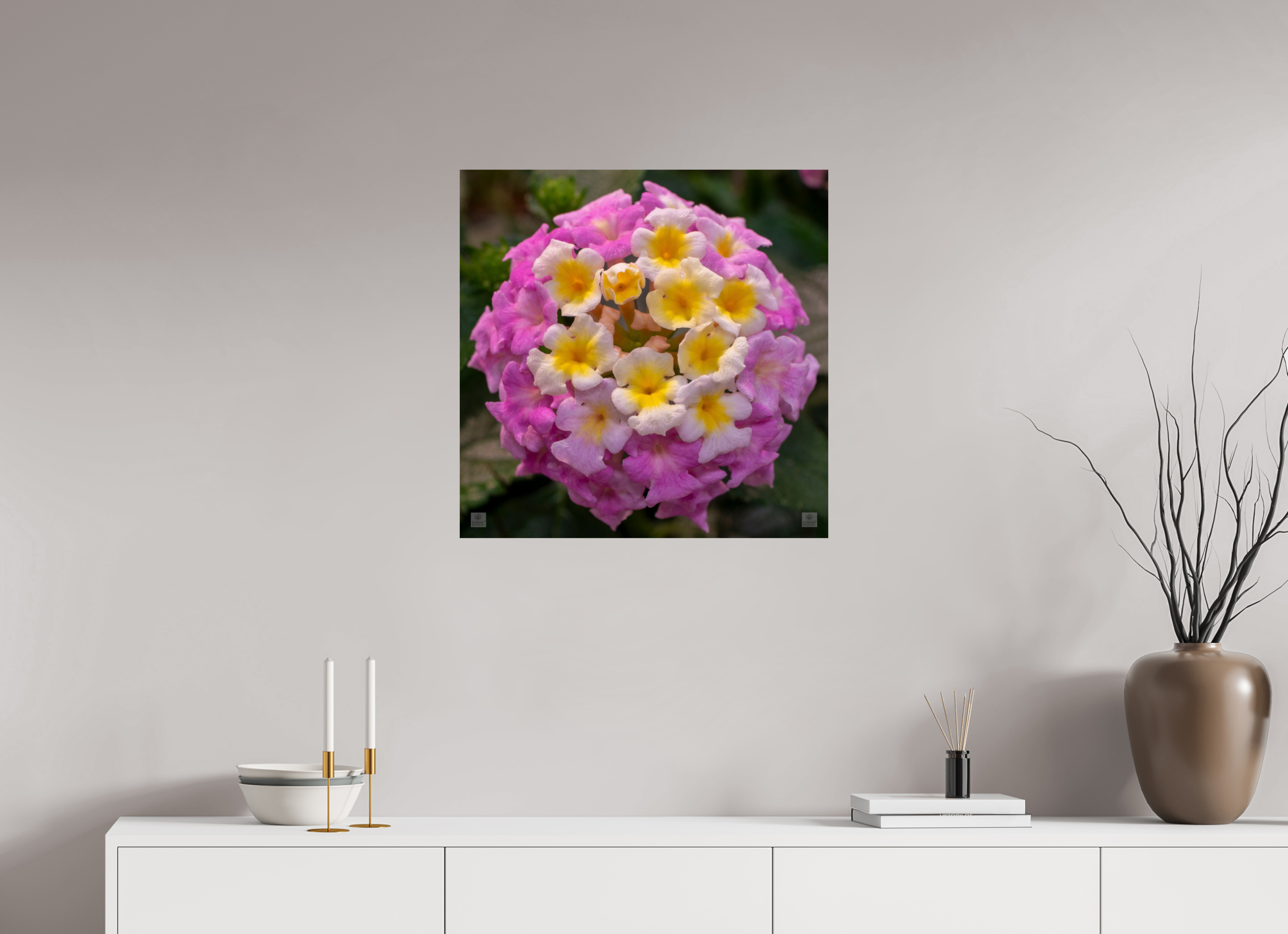Lantana_deep pink with yellow_aspect ratio 1x1