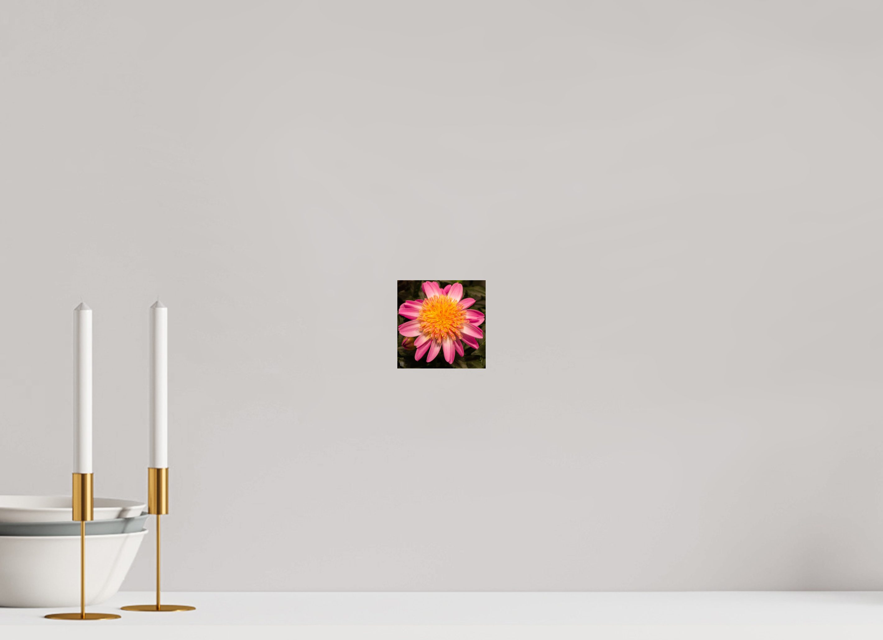 Dahlia_light pink with yellow center_aspect ration 1:1
