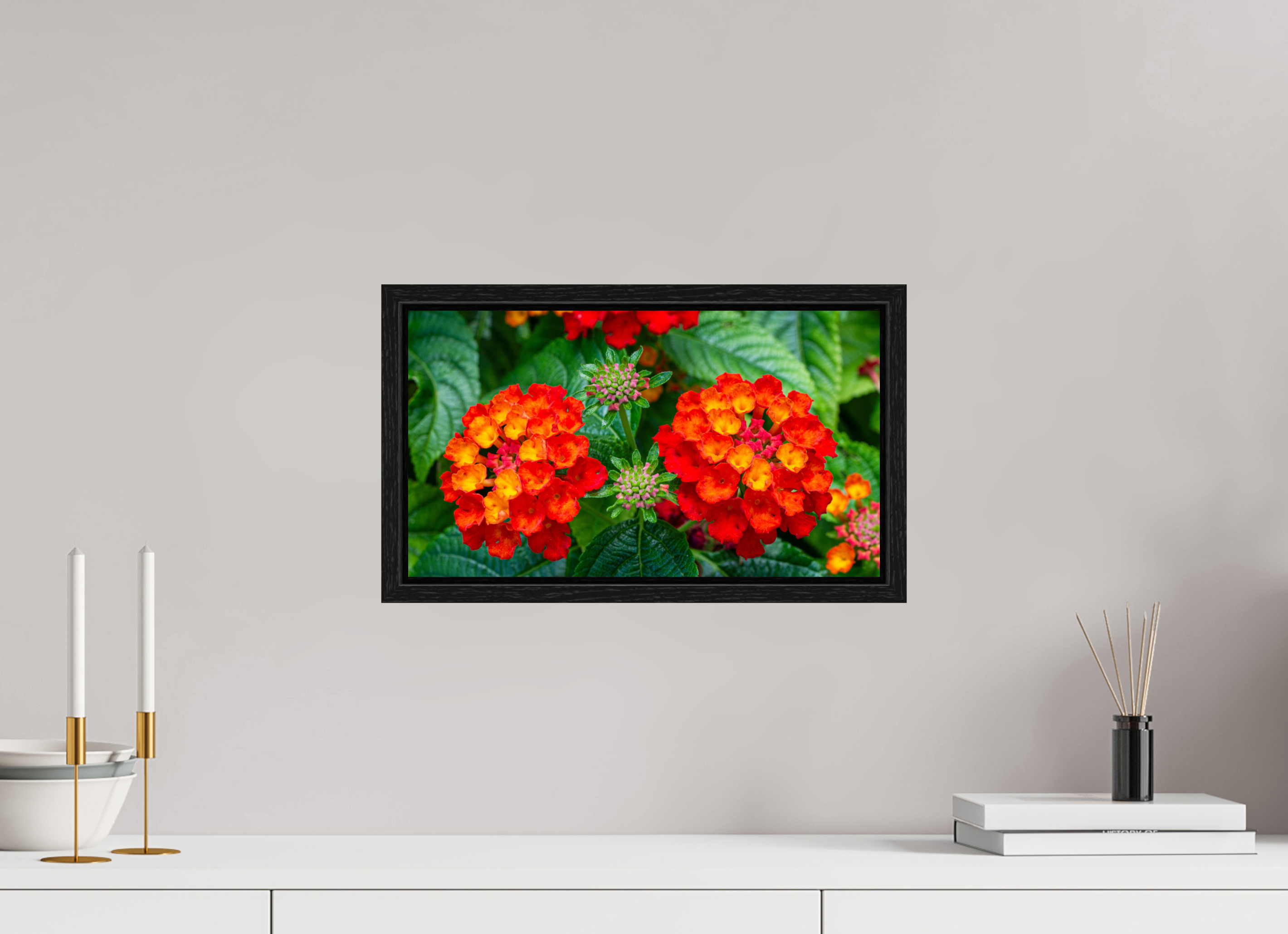 Lantana_orange with yellow double flower_aspect ratio 16x9