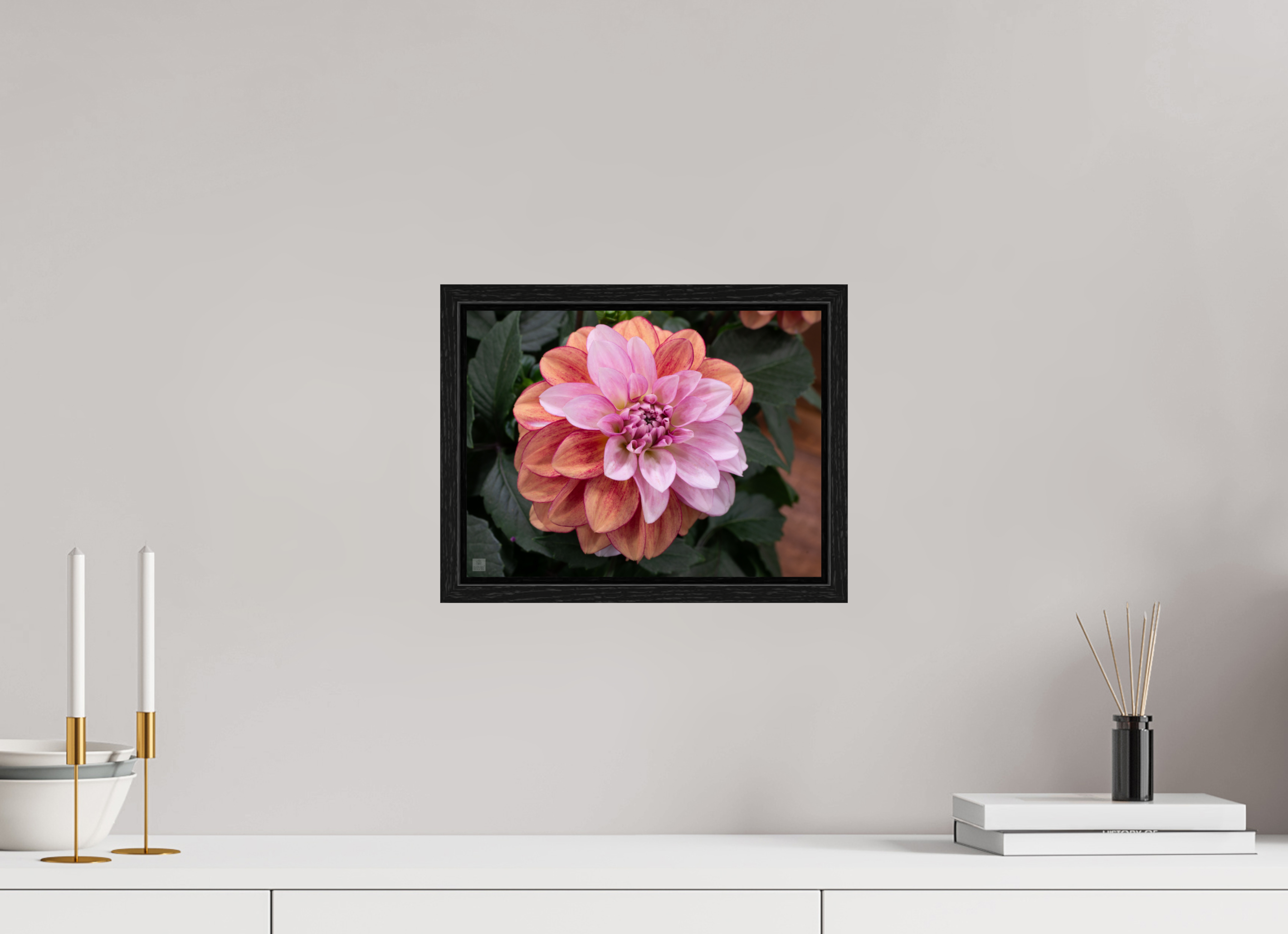 Dahlia_pink with red streak_ aspect ratio 4:3