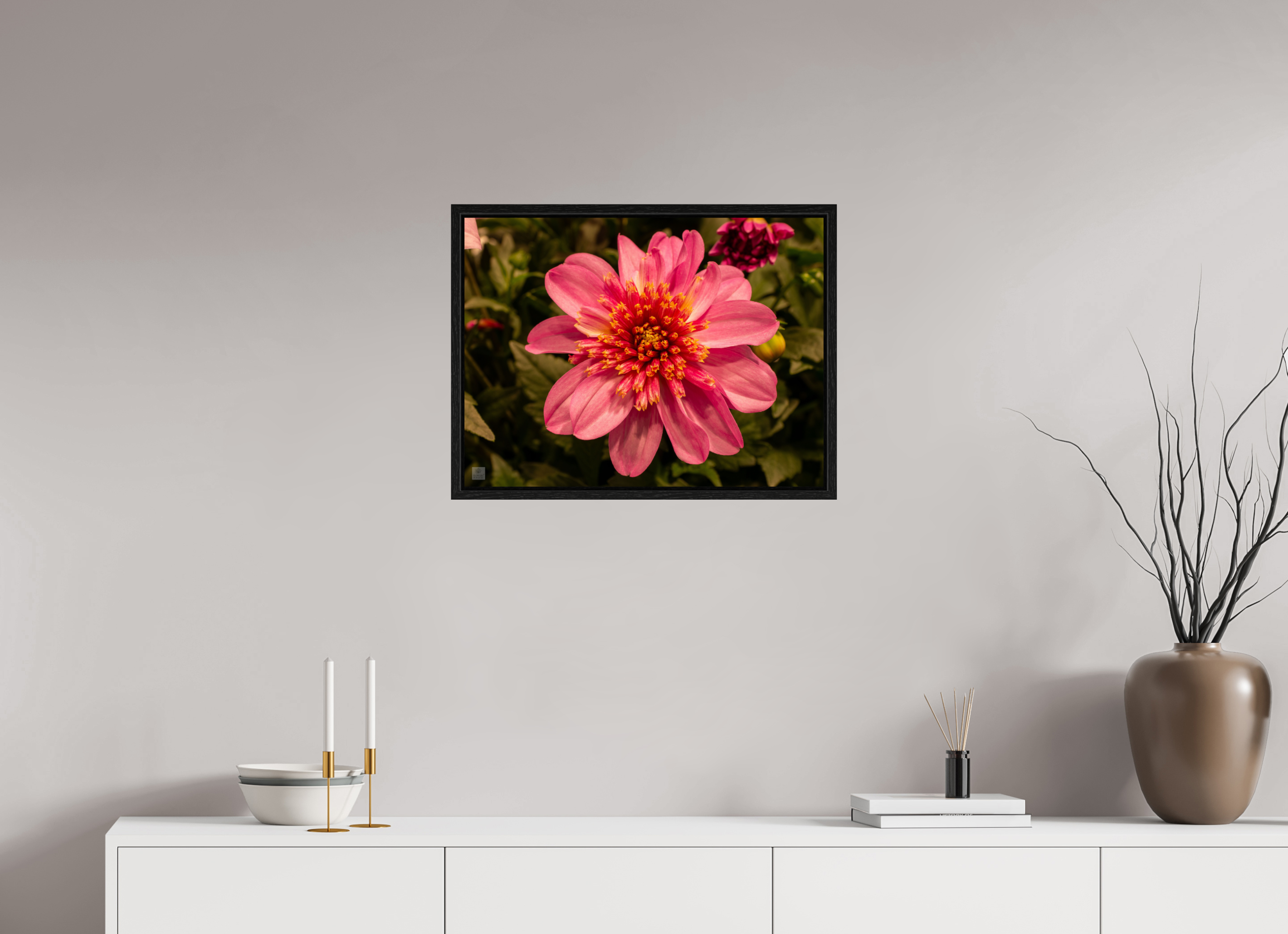 Dahlia_pink with yellow trim_aspect ratio 4:3