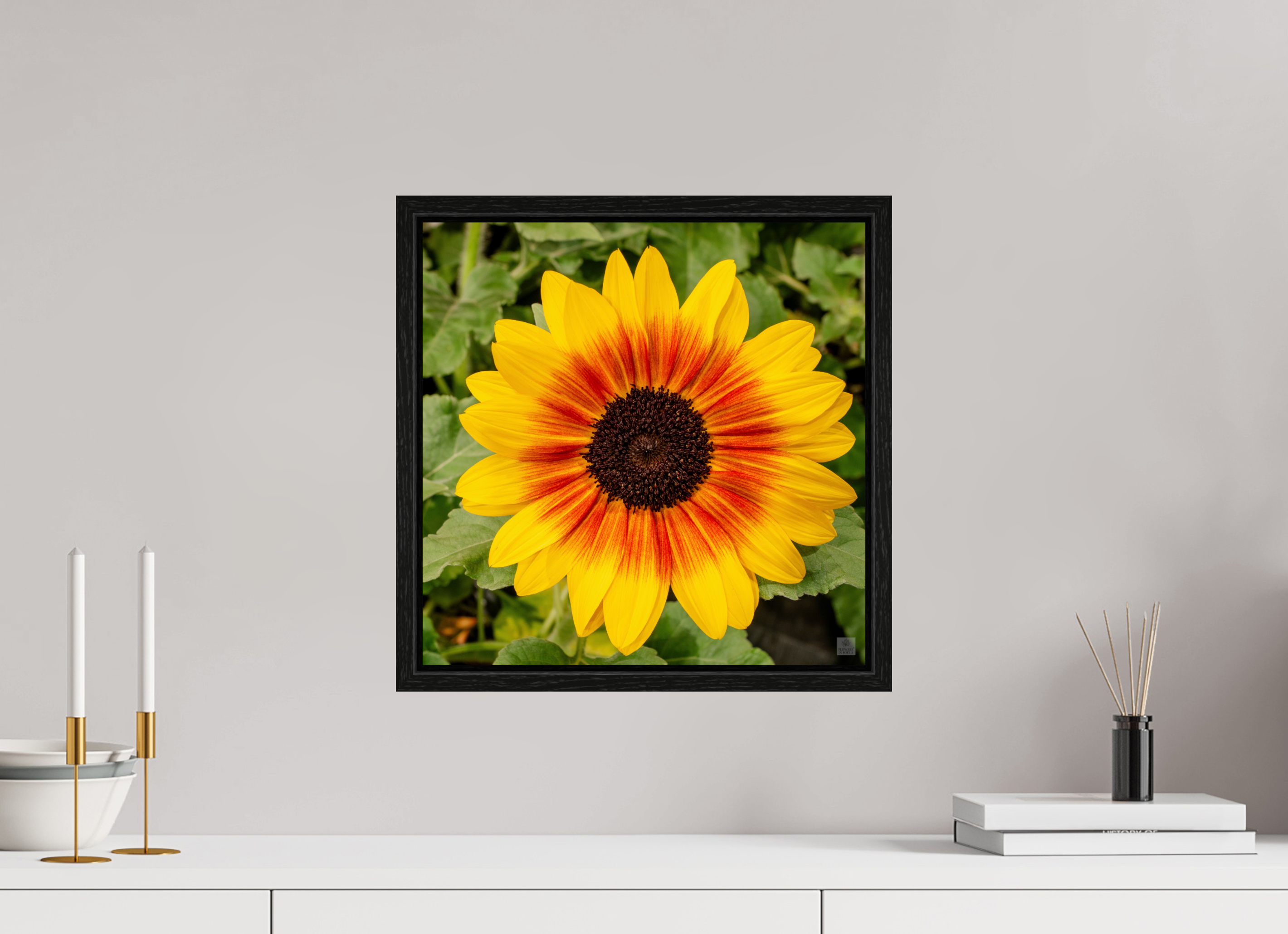 Sunflower hybrid_yellow with orange center_aspect ratio 1x1