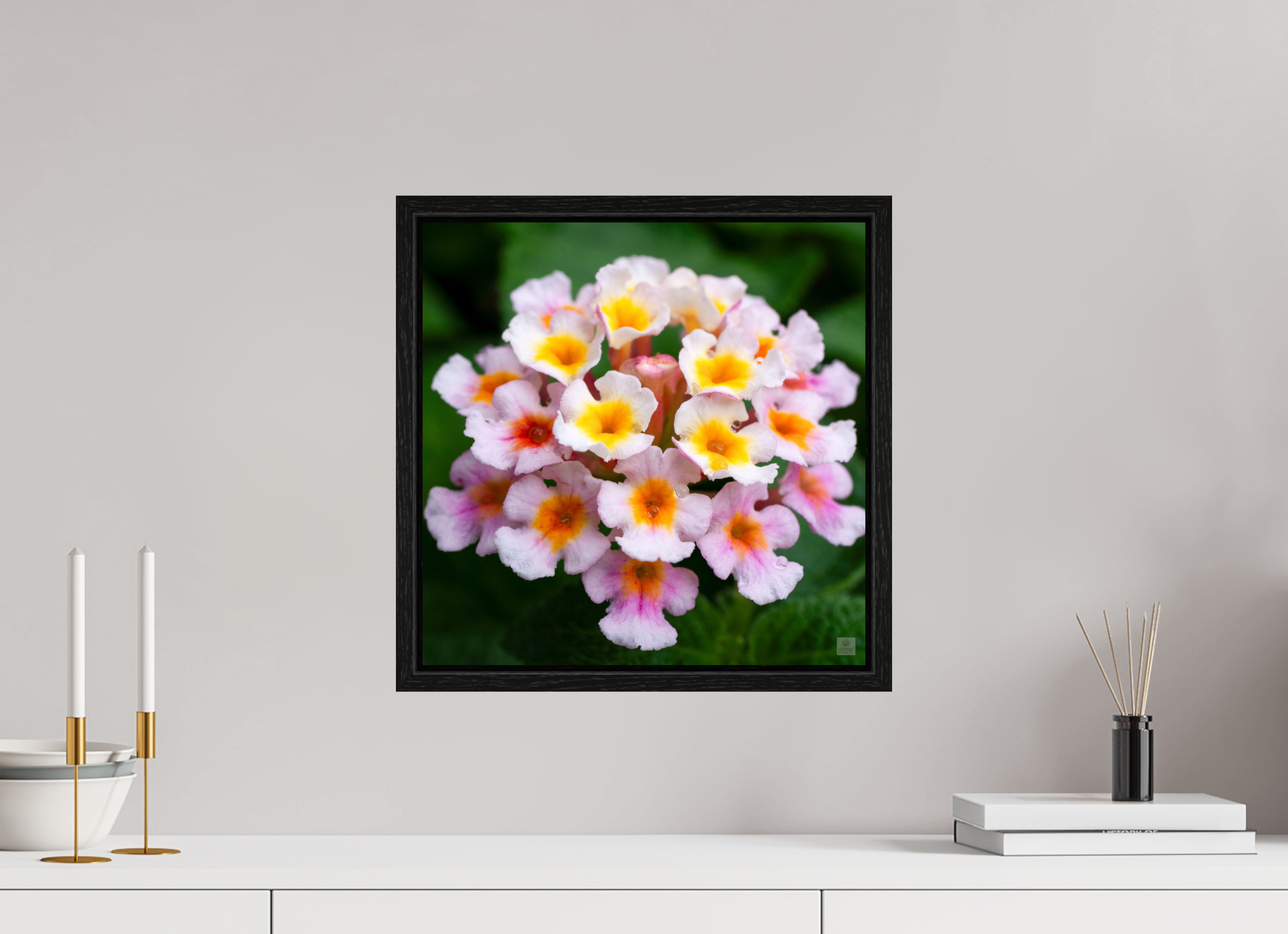 Lantana_pink with yellow (water droplets)_aspect ratio 1x1