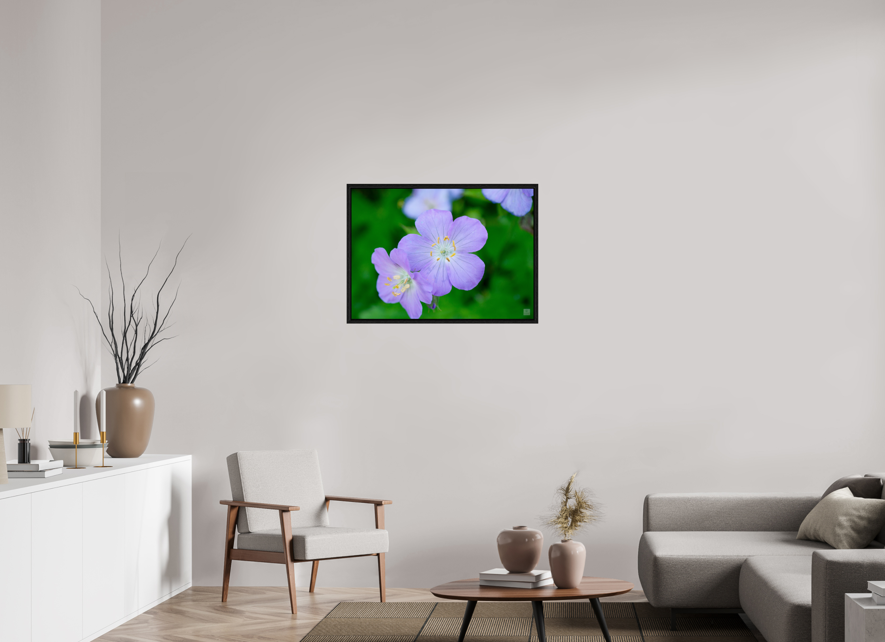 Hardy Geranium_Cranesbill_aspect ratio 7:5