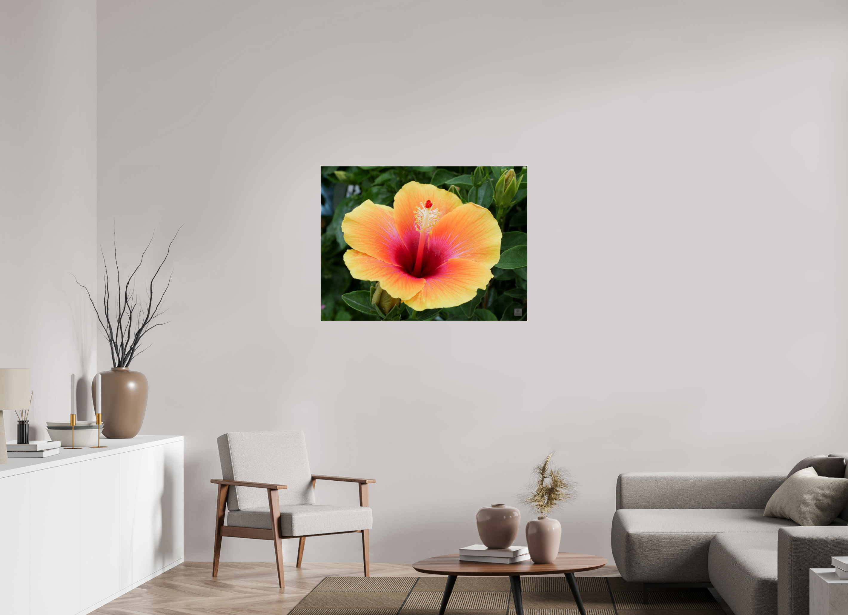 Hibiscus hybrid_peach with pink_aspect ration 4x3