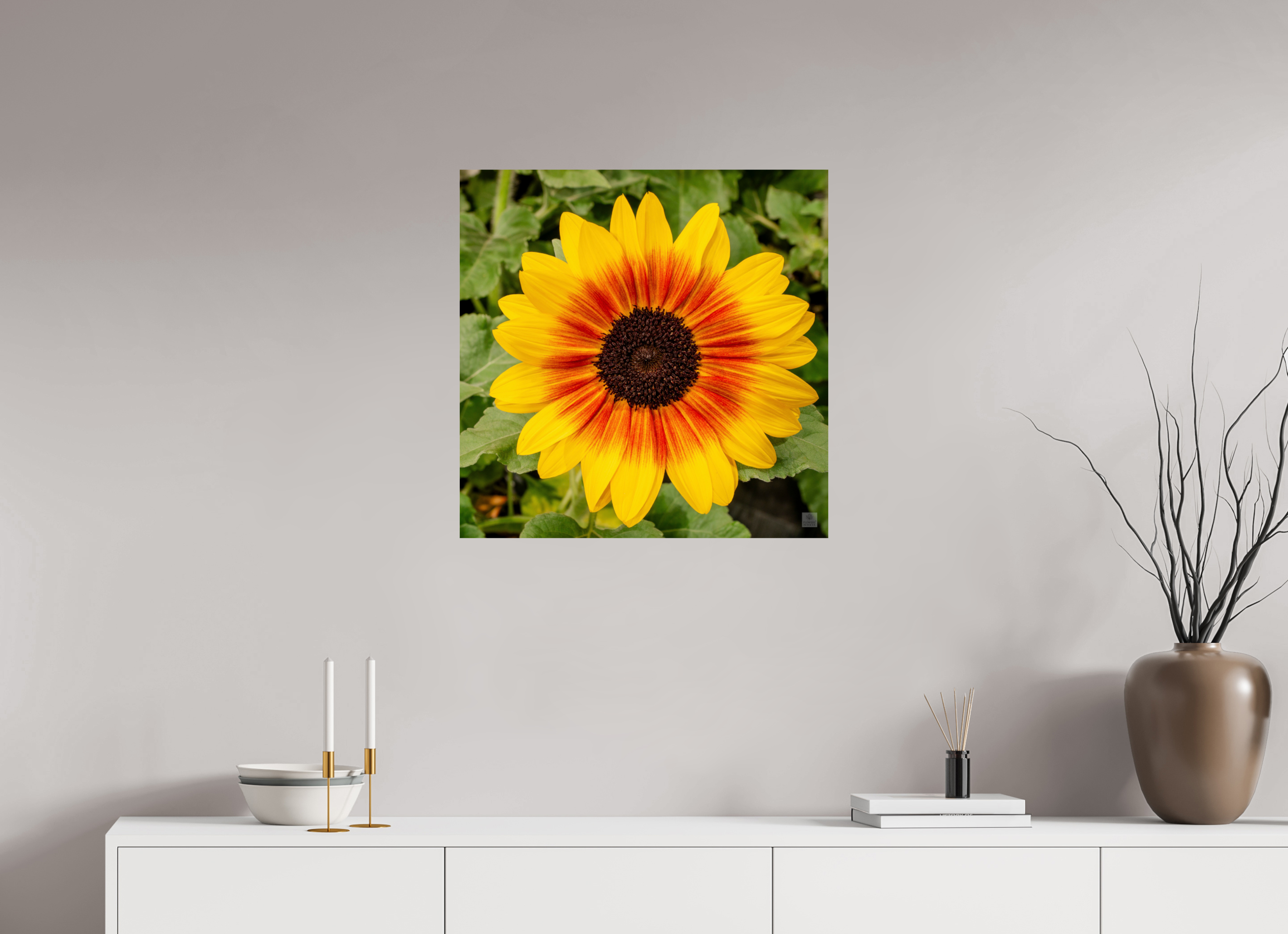 Sunflower hybrid_yellow with orange center_aspect ratio 1x1