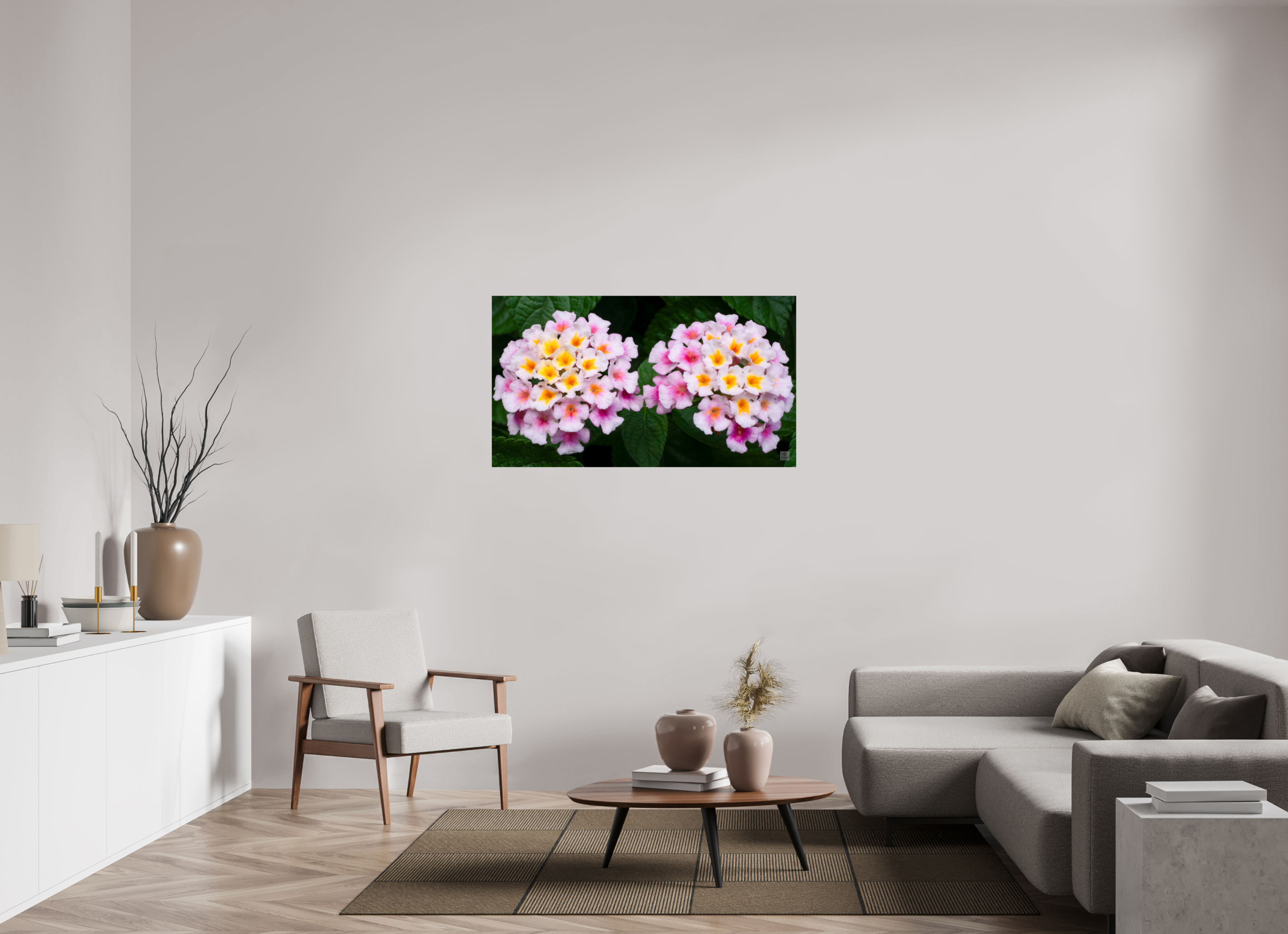 Lantana_double pink with white yellow_aspect ratio 16x9