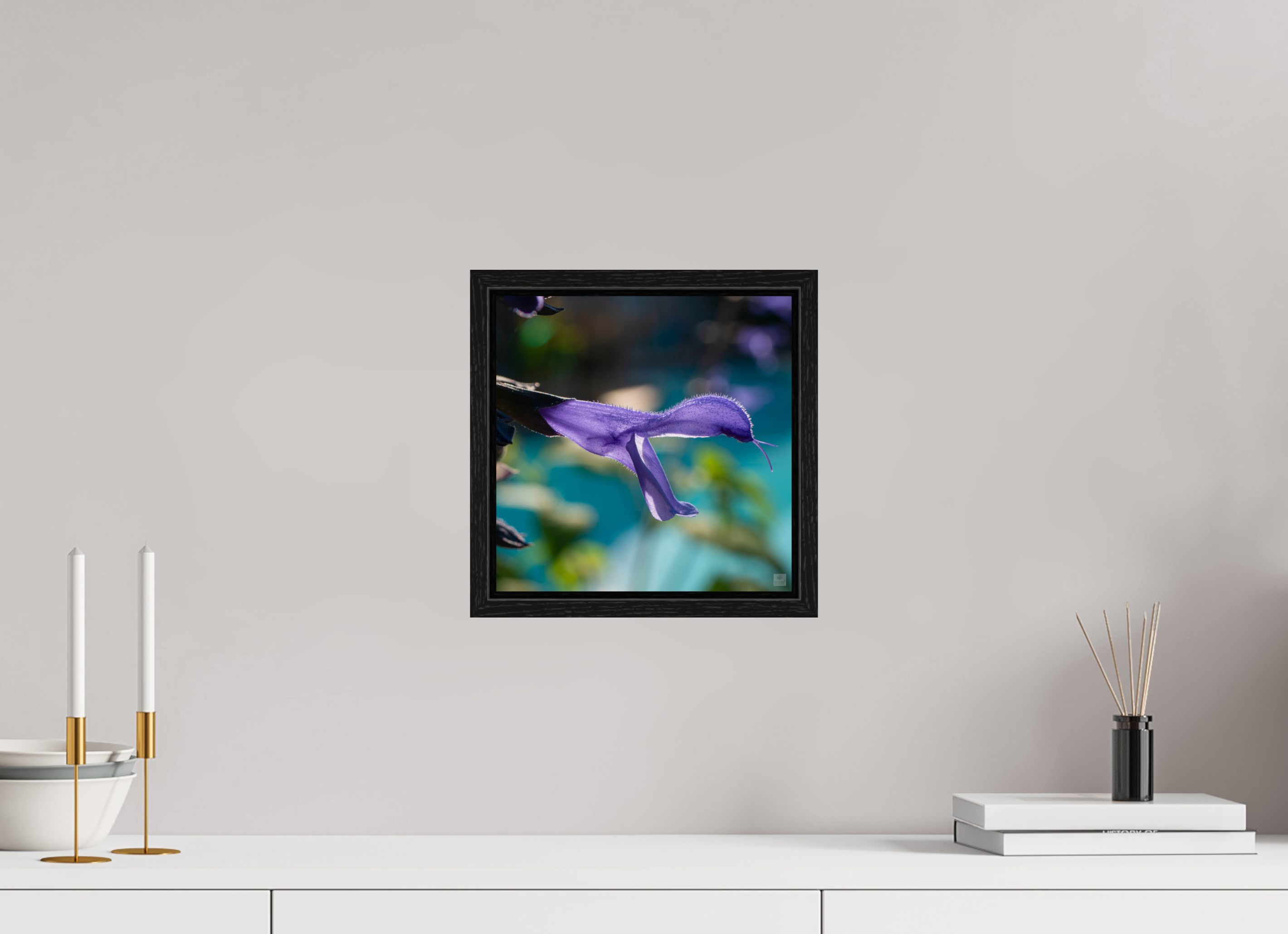 Blue black sage_single_aspect ratio 1x1