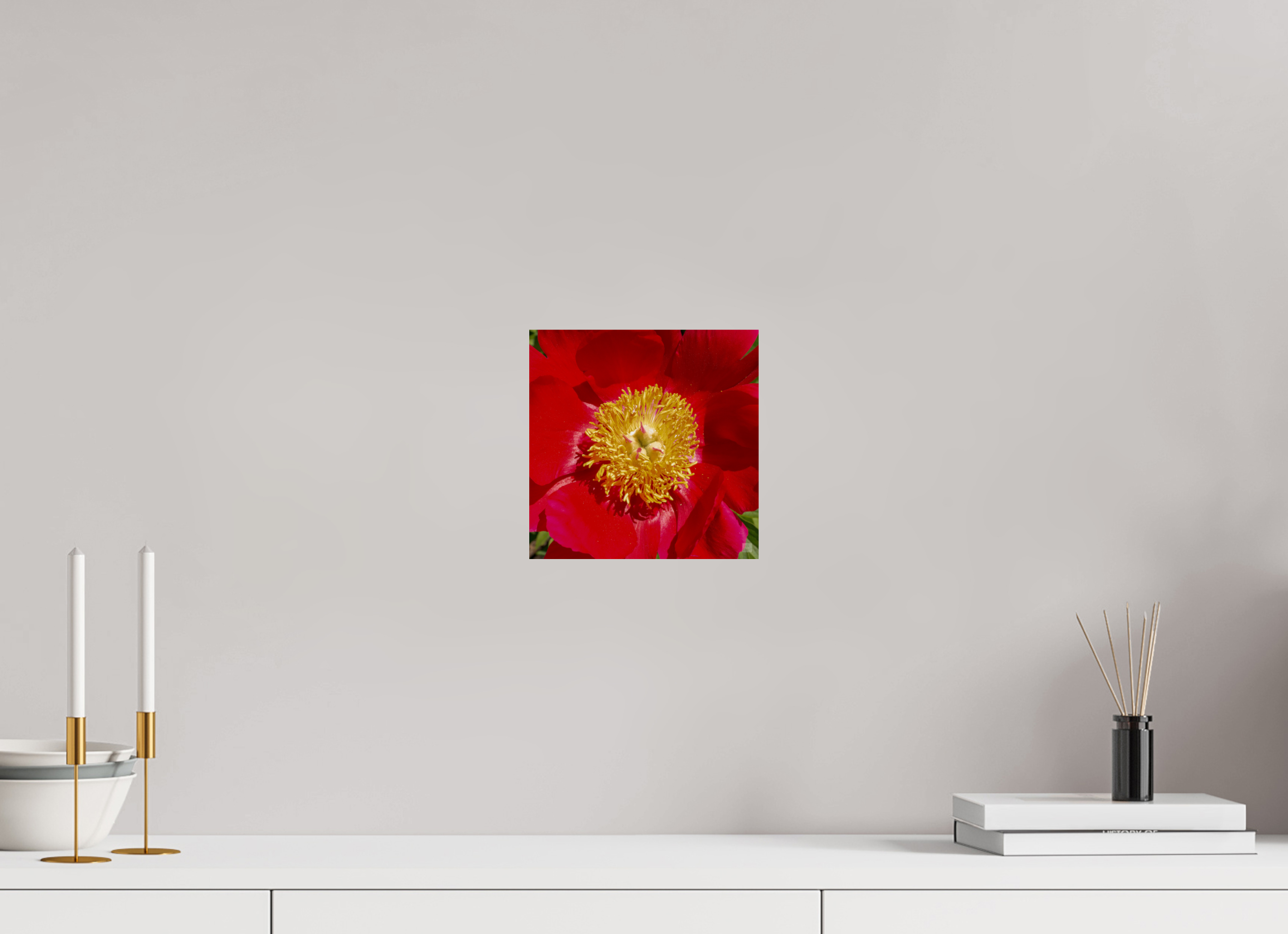 Peony_red close up_aspect ratio 1x1
