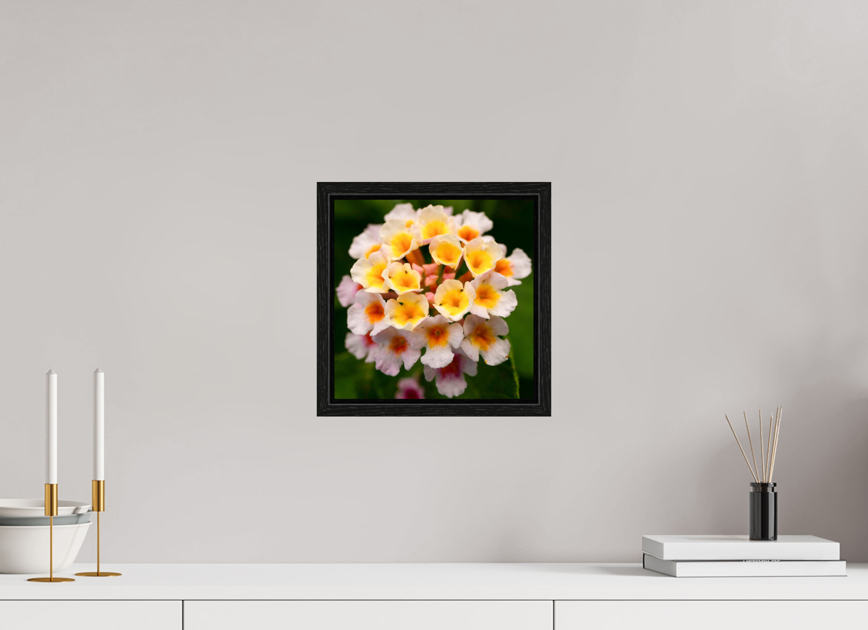 Lantana_light yellow with pale pink_aspect ratio 1x1