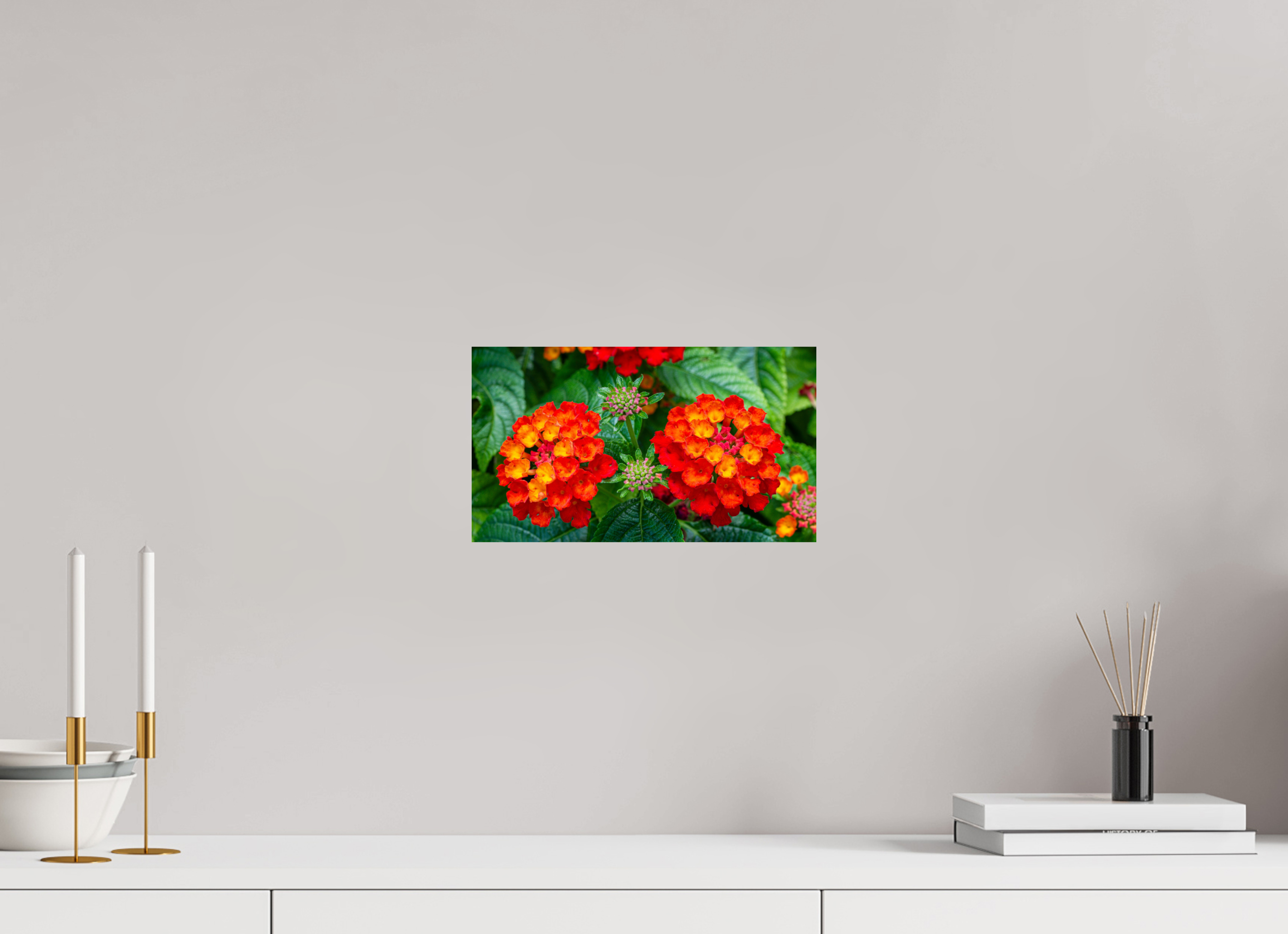 Lantana_orange with yellow double flower_aspect ratio 16x9