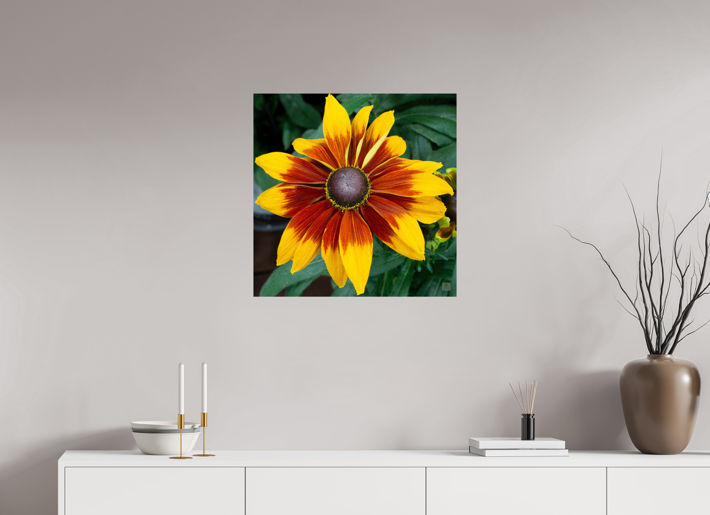 Rudbeckia_yellow with red center_aspect ratio 1x1