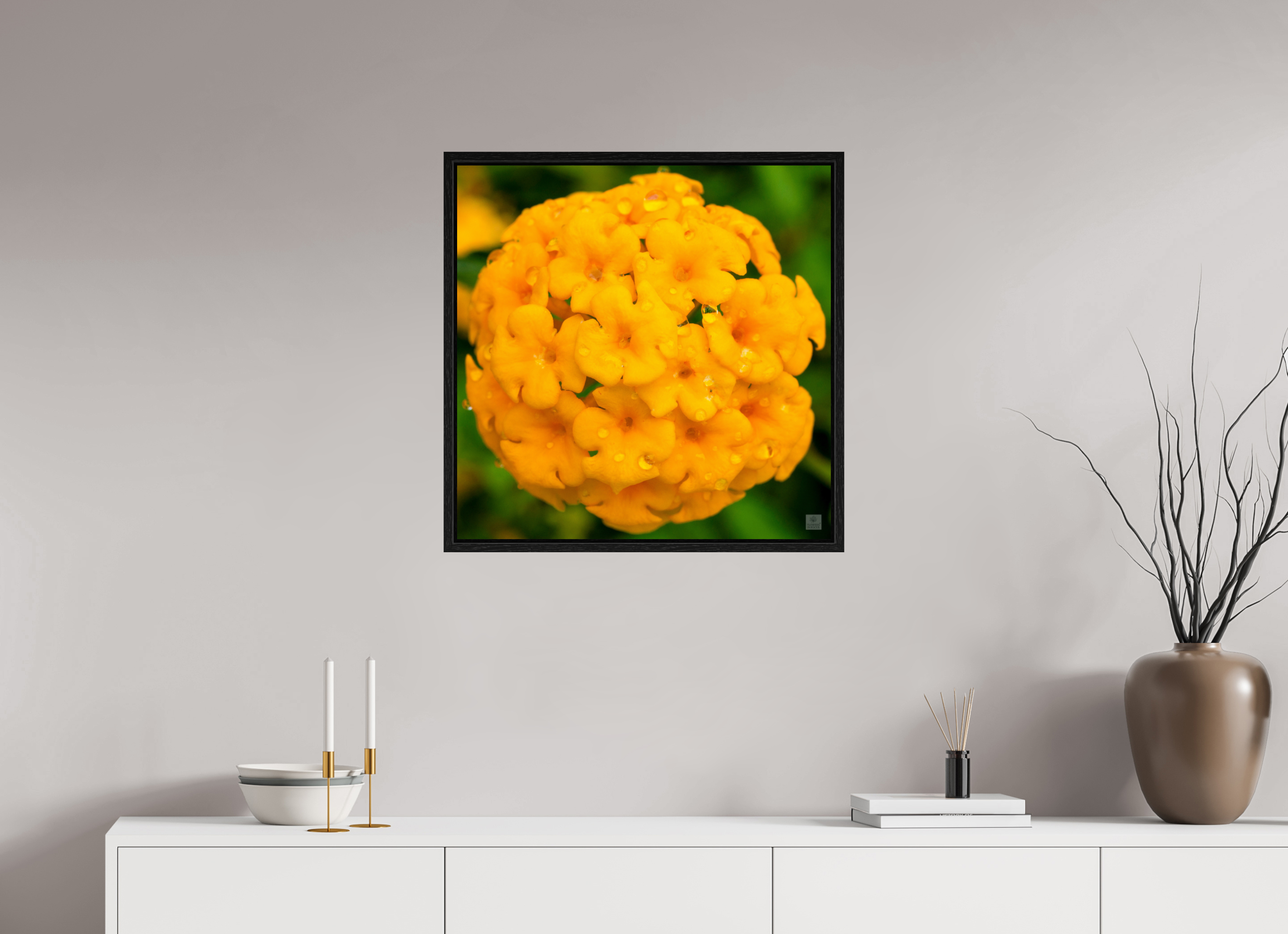 Lantana hybrid_yellow (with water droplets)_aspect ration 1x1