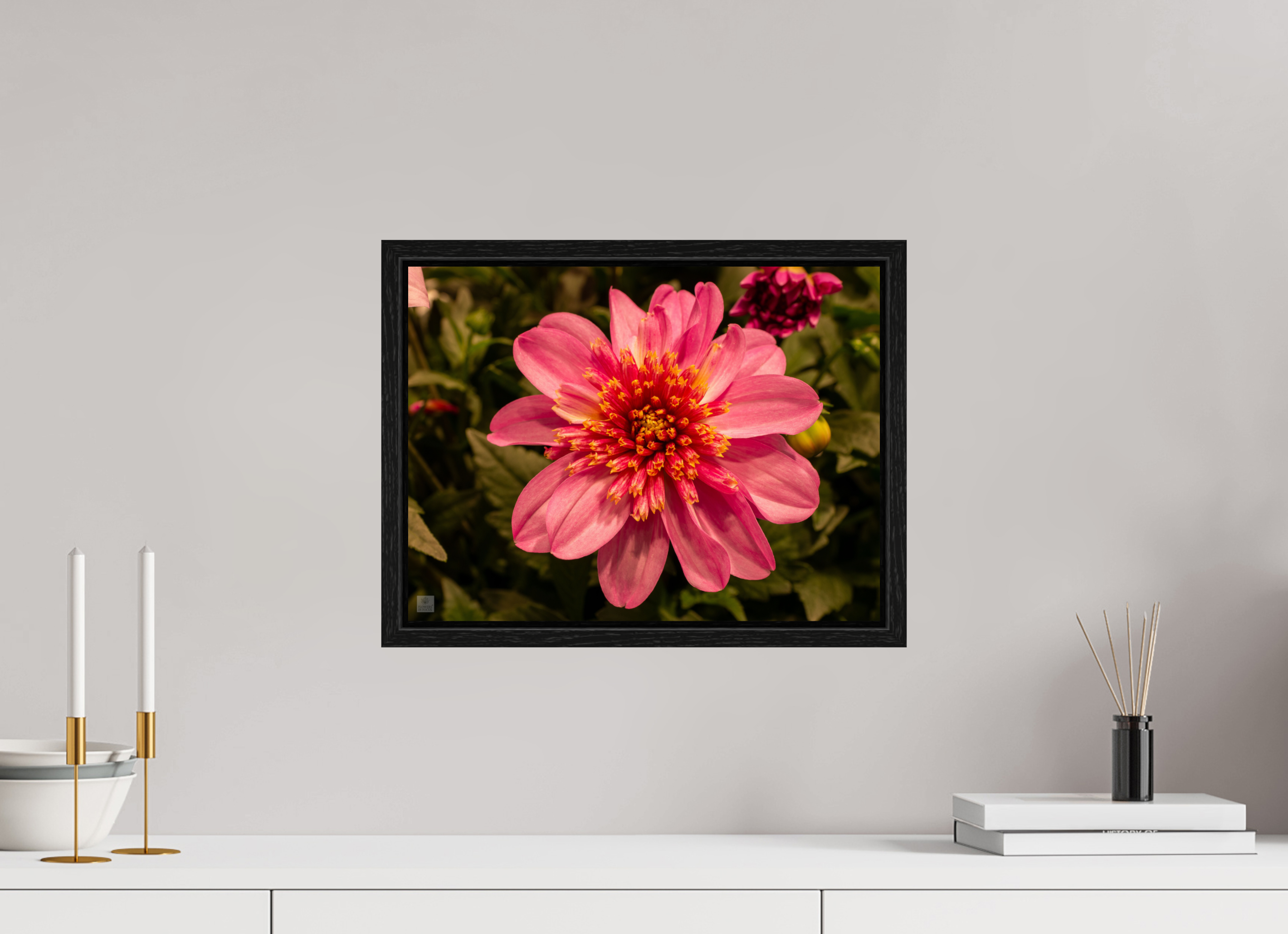 Dahlia_pink with yellow trim_aspect ratio 4:3