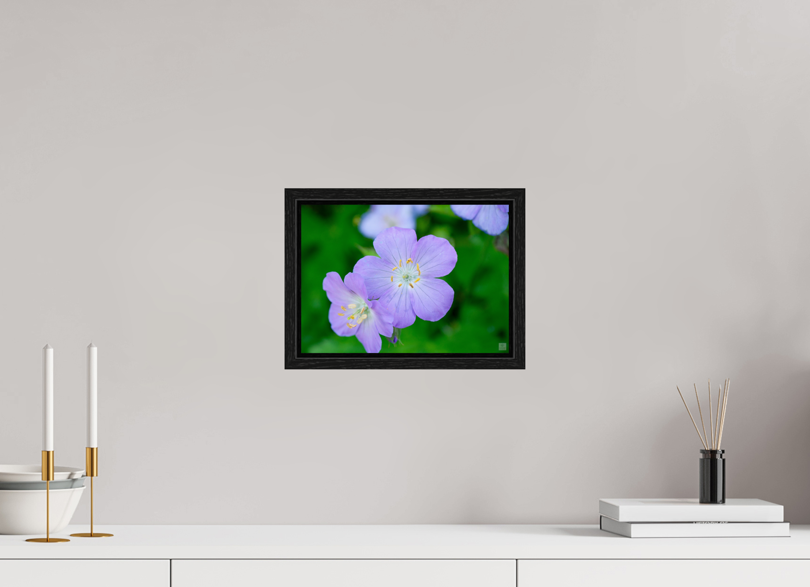 Hardy Geranium_Cranesbill_aspect ratio 7:5