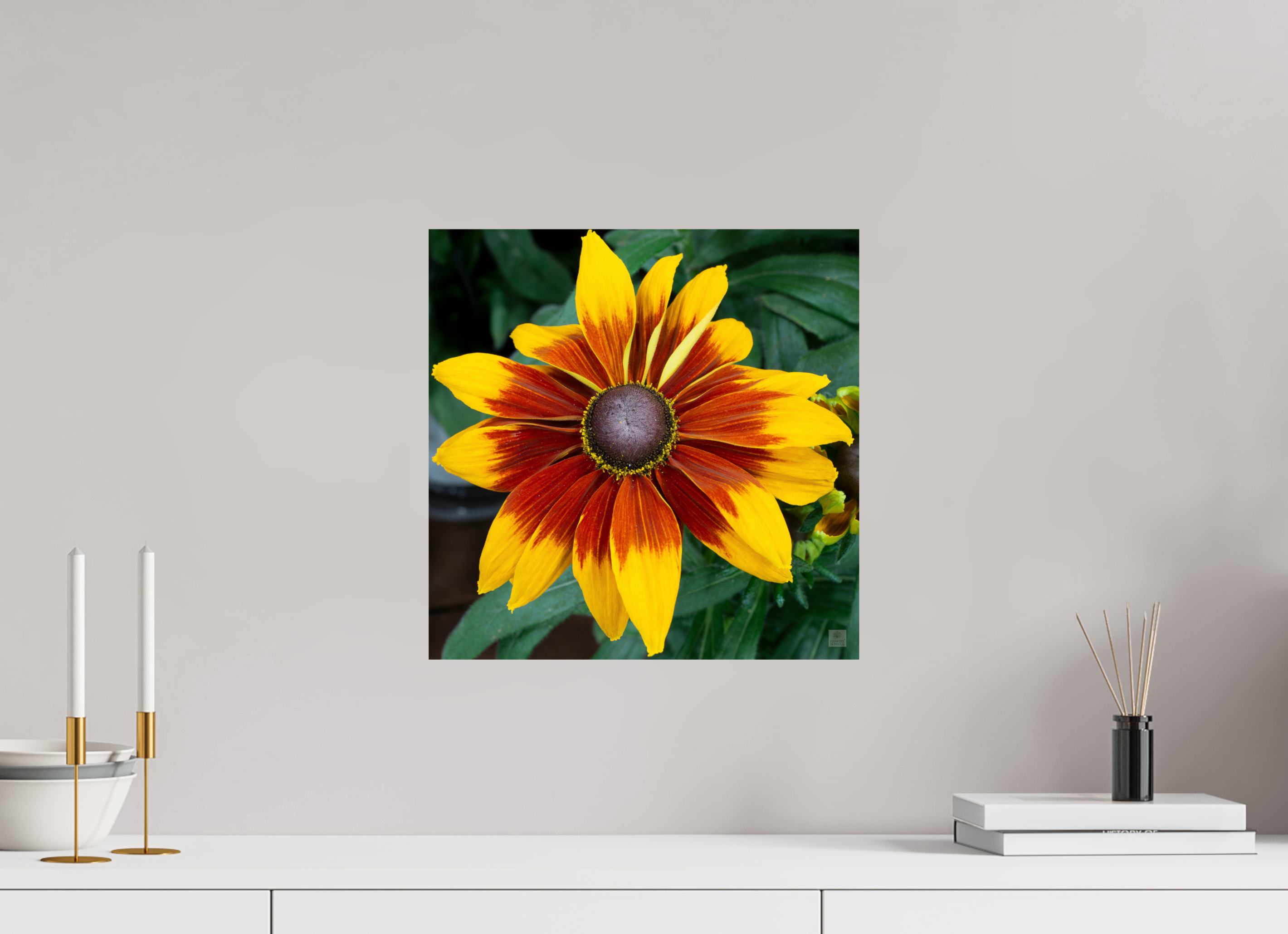 Rudbeckia_yellow with red center_aspect ratio 1x1