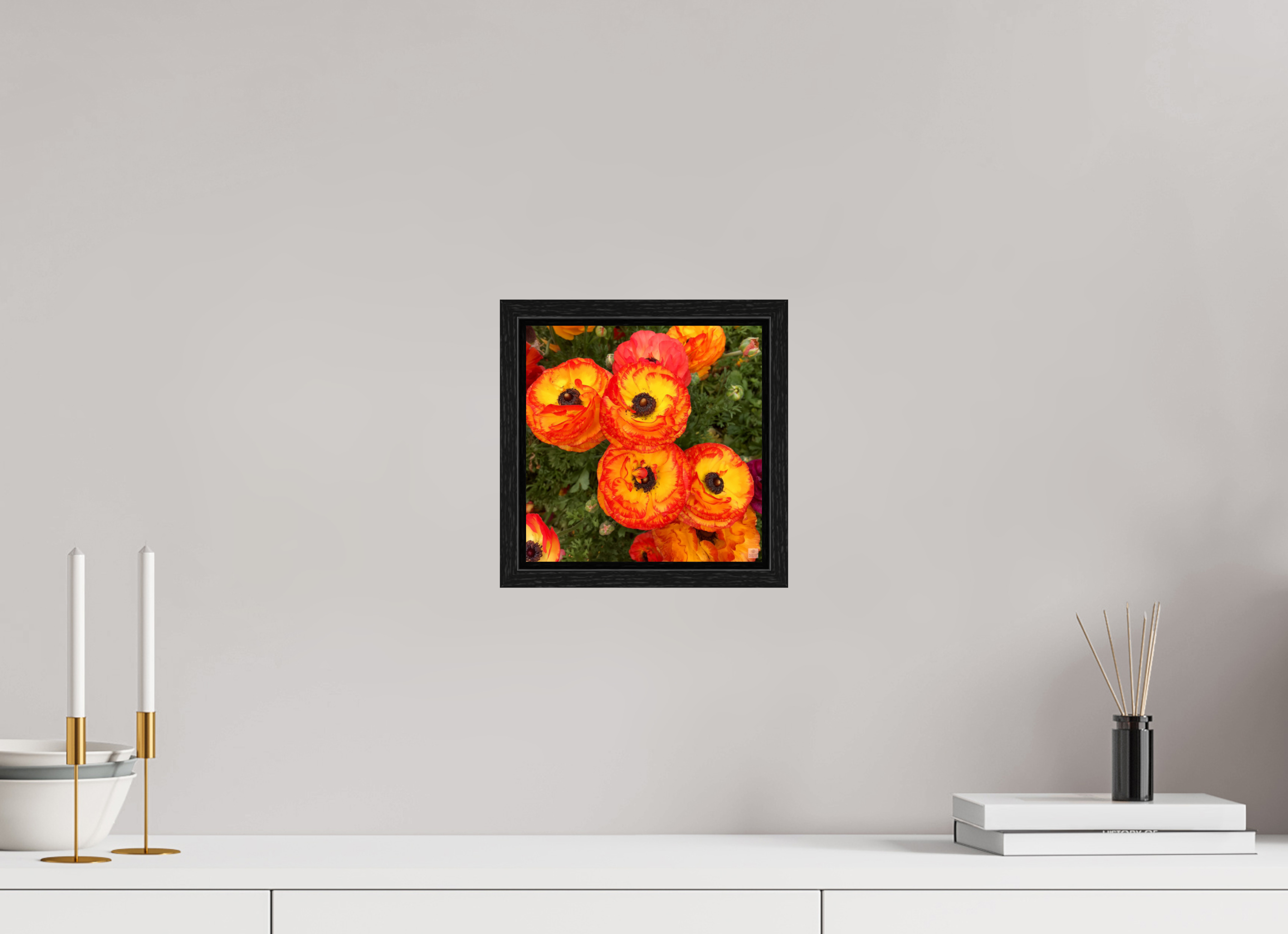 Ranunculus_bright orange_flower group_aspect ratio is 1:1