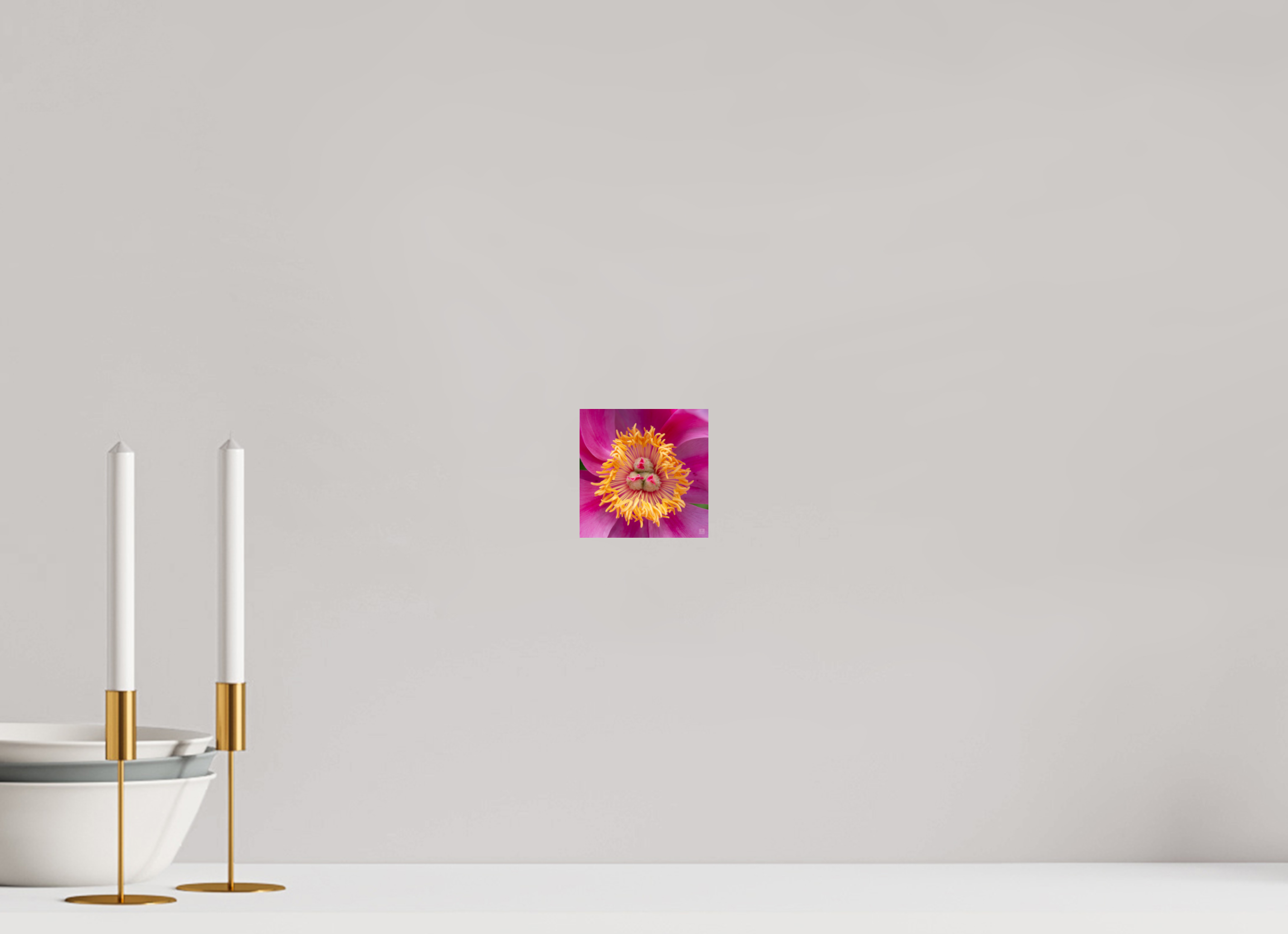 Peony_pink_center-2_aspect ratio 1x1
