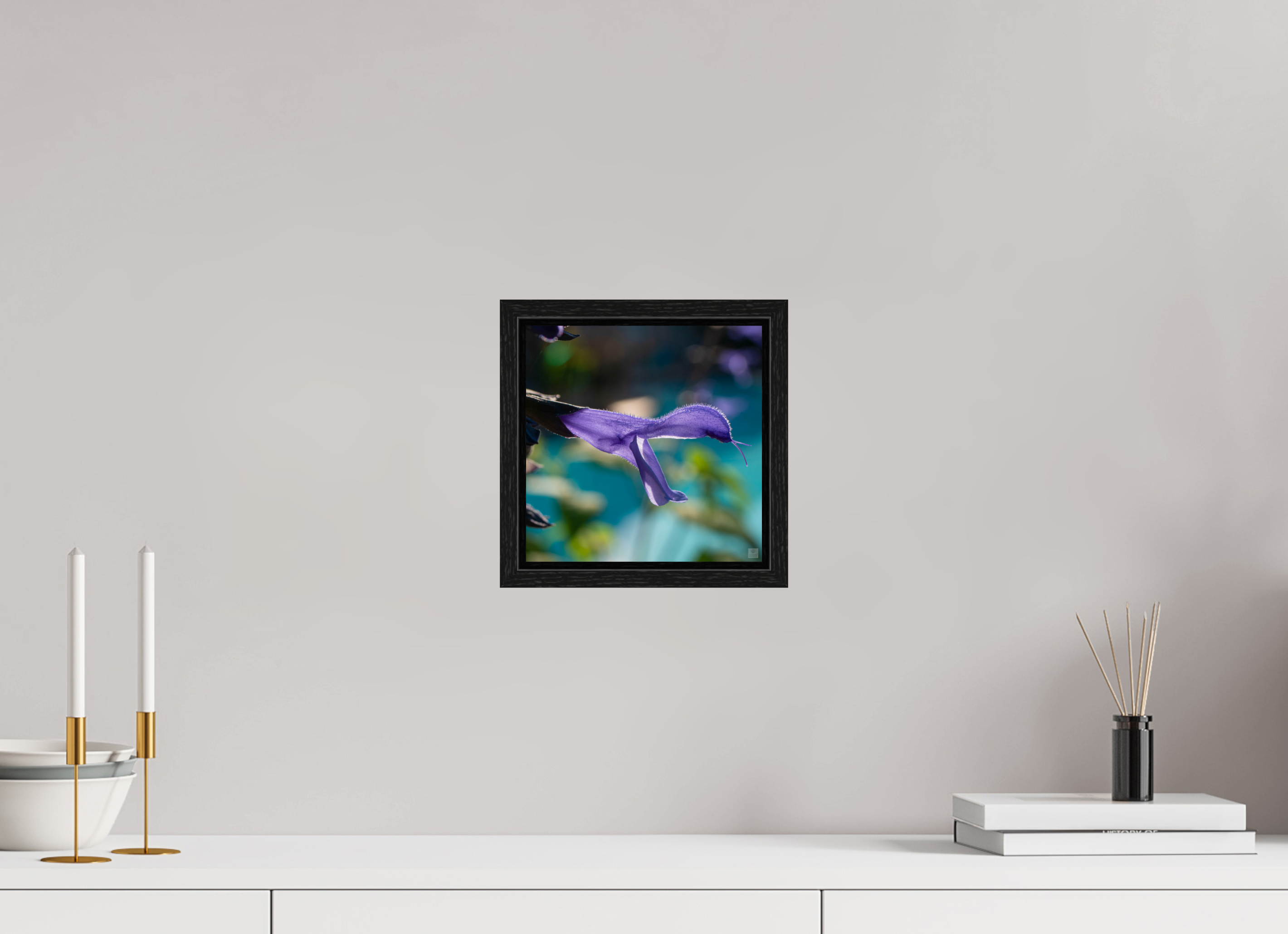 Blue black sage_single_aspect ratio 1x1
