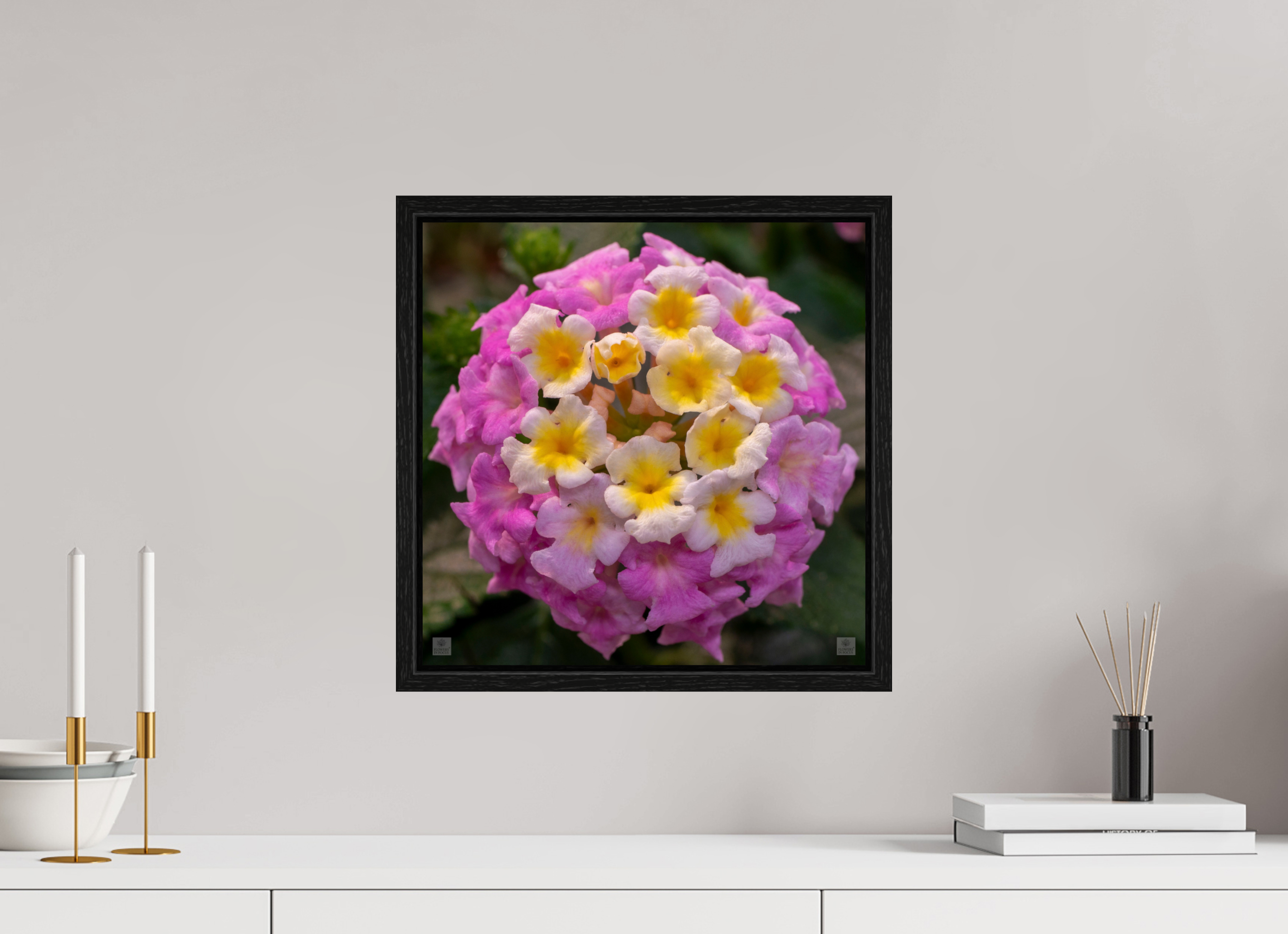 Lantana_deep pink with yellow_aspect ratio 1x1