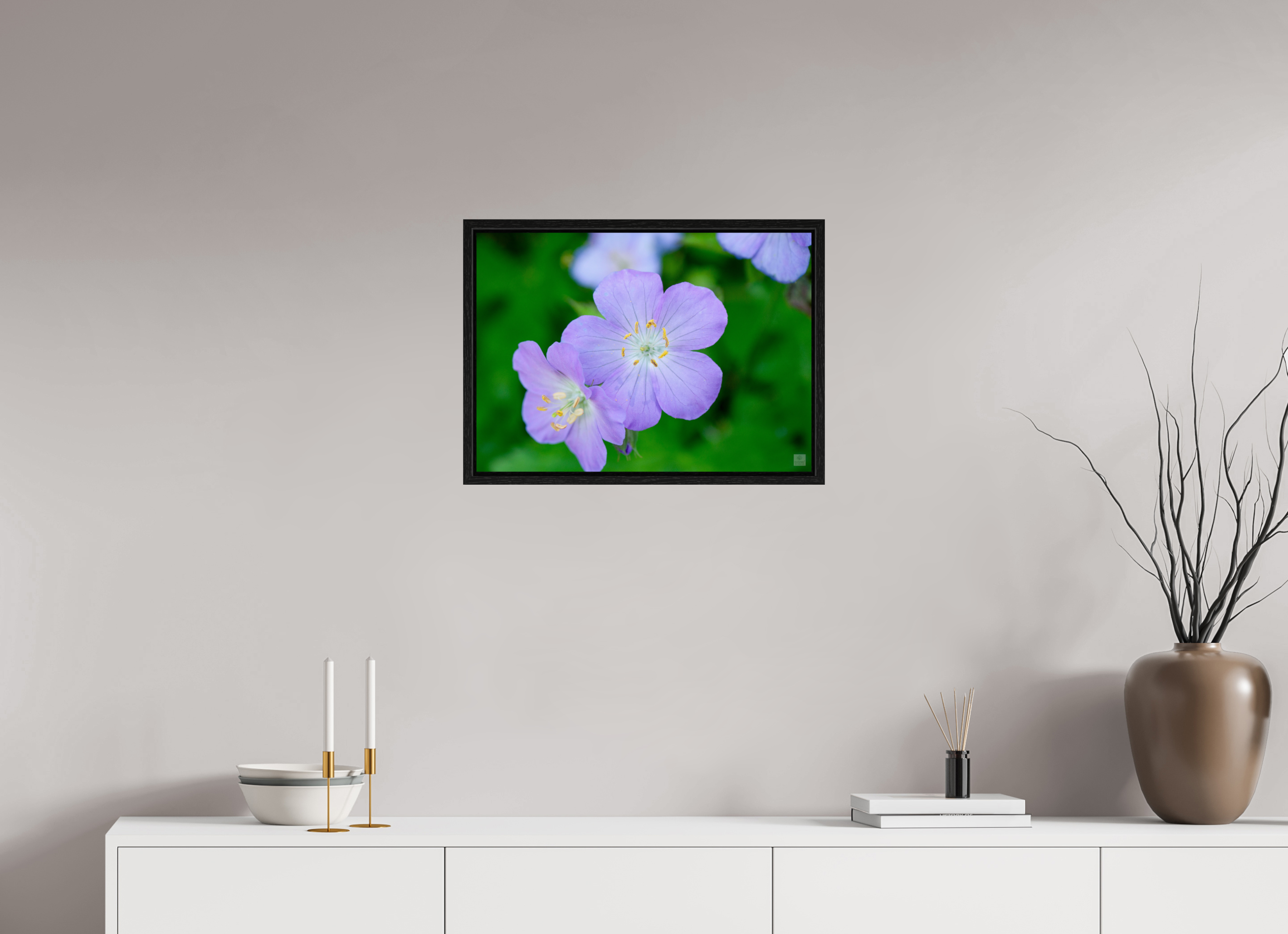 Hardy Geranium_Cranesbill_aspect ratio 7:5