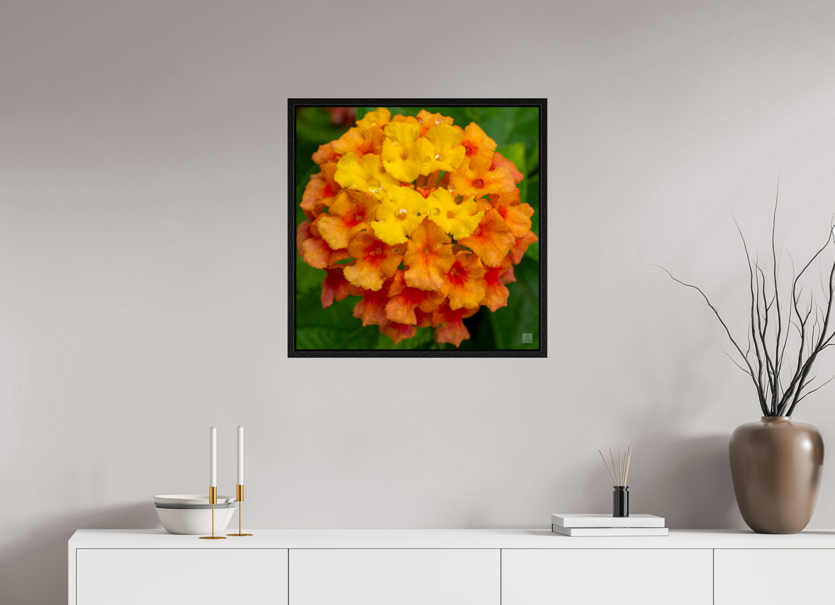Lantana_orange with yellow (water droplets)_aspect ratio 1x1