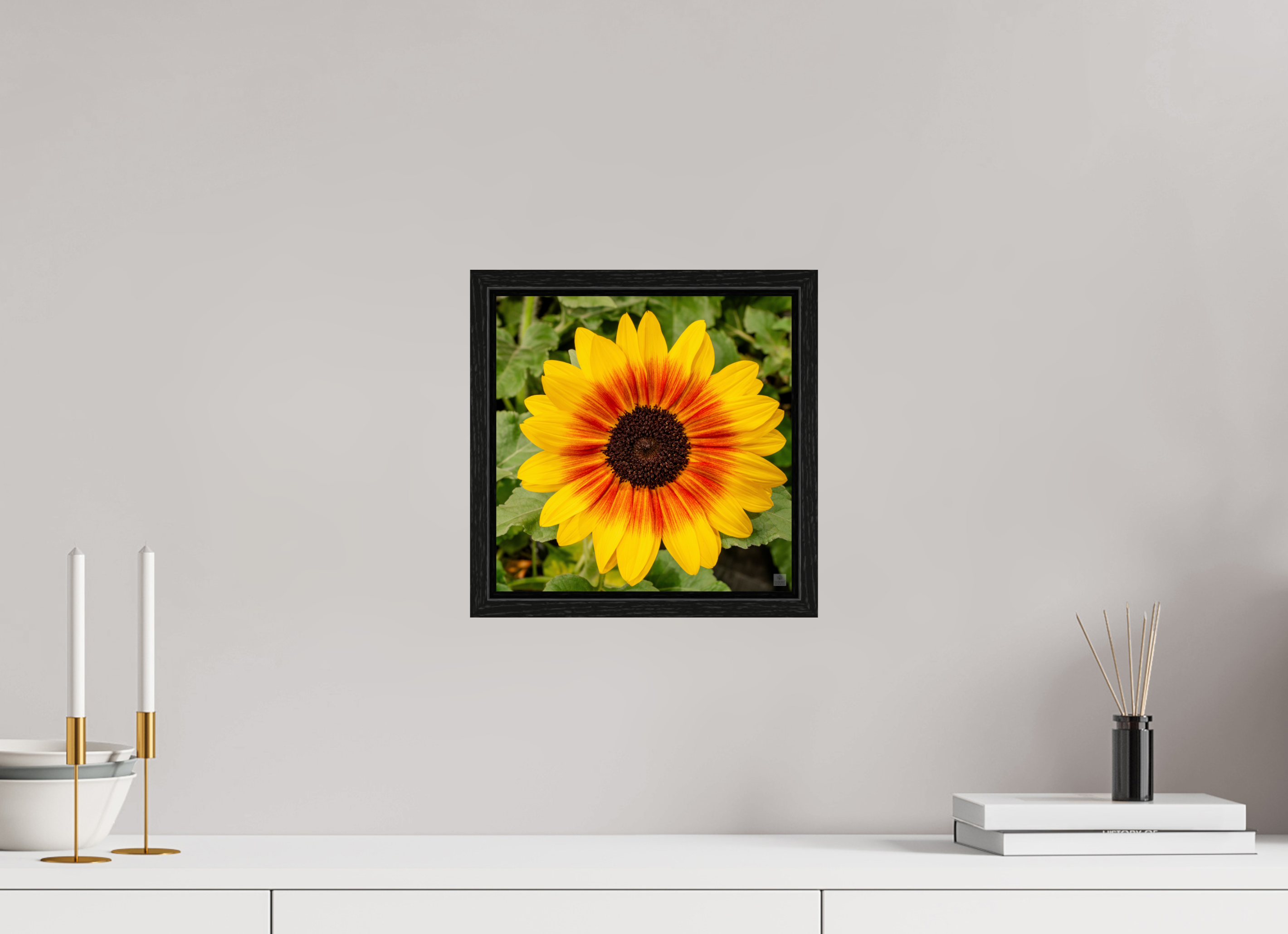 Sunflower hybrid_yellow with orange center_aspect ratio 1x1