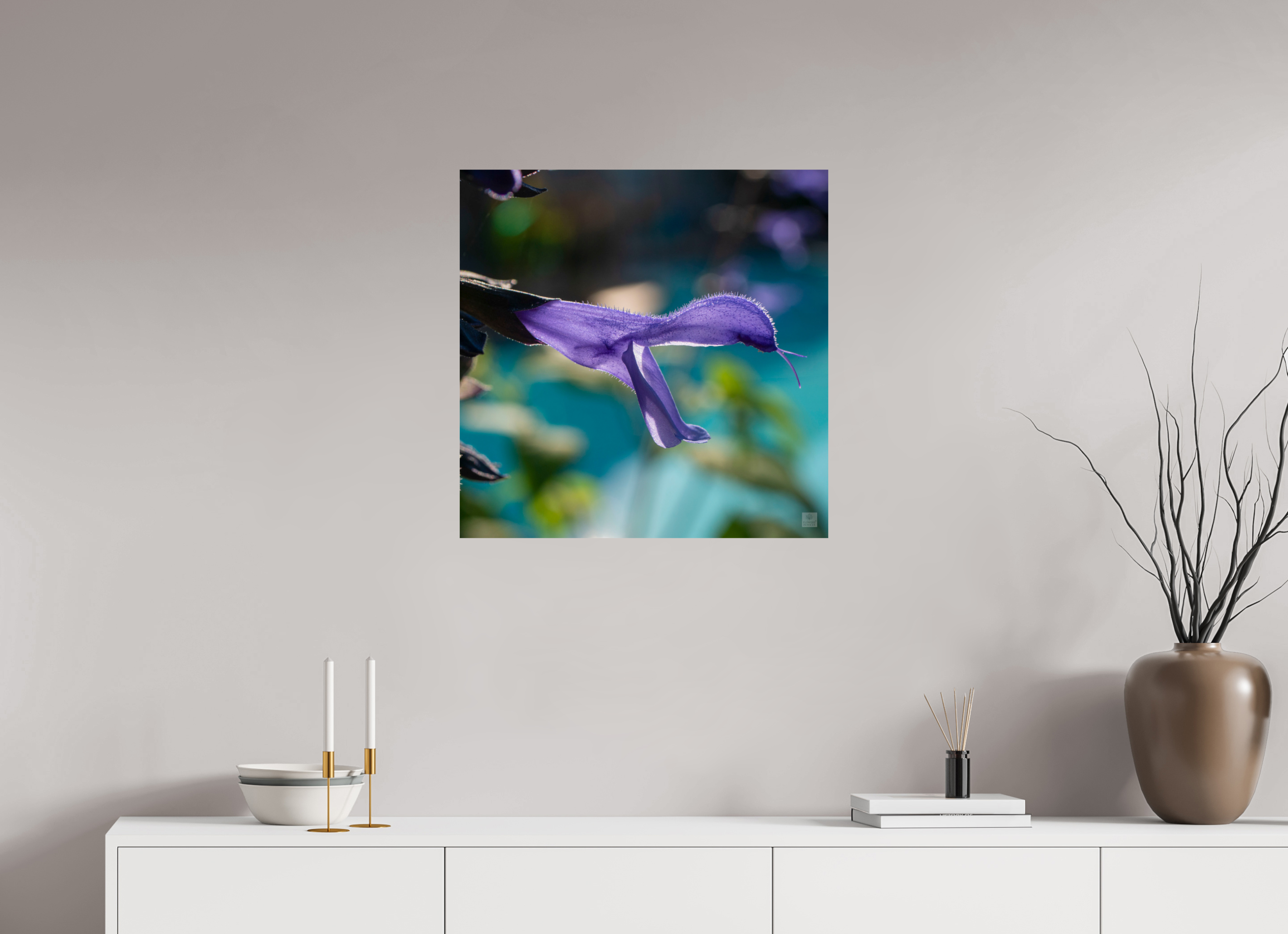 Blue black sage_single_aspect ratio 1x1