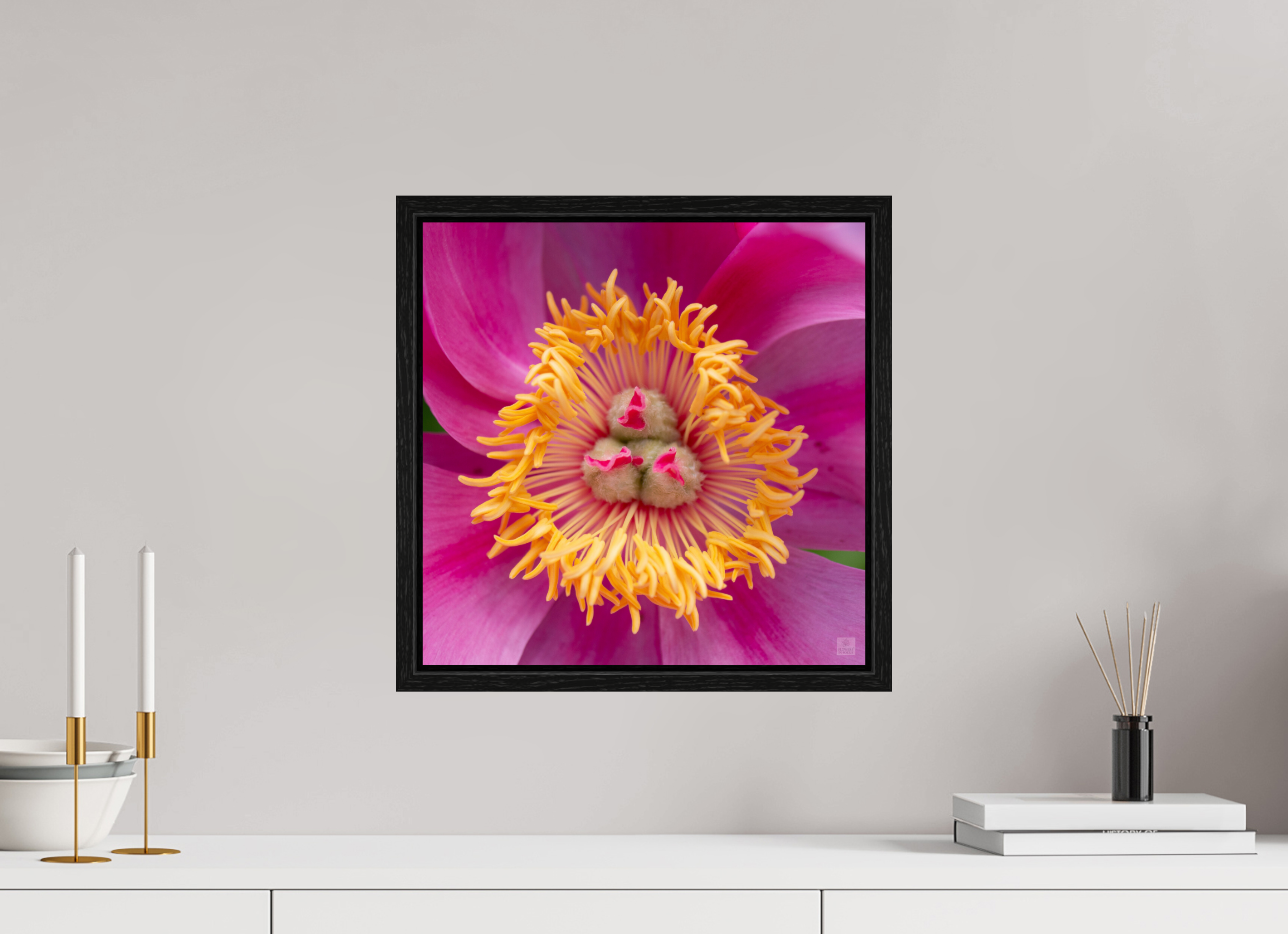 Peony_pink_center-2_aspect ratio 1x1