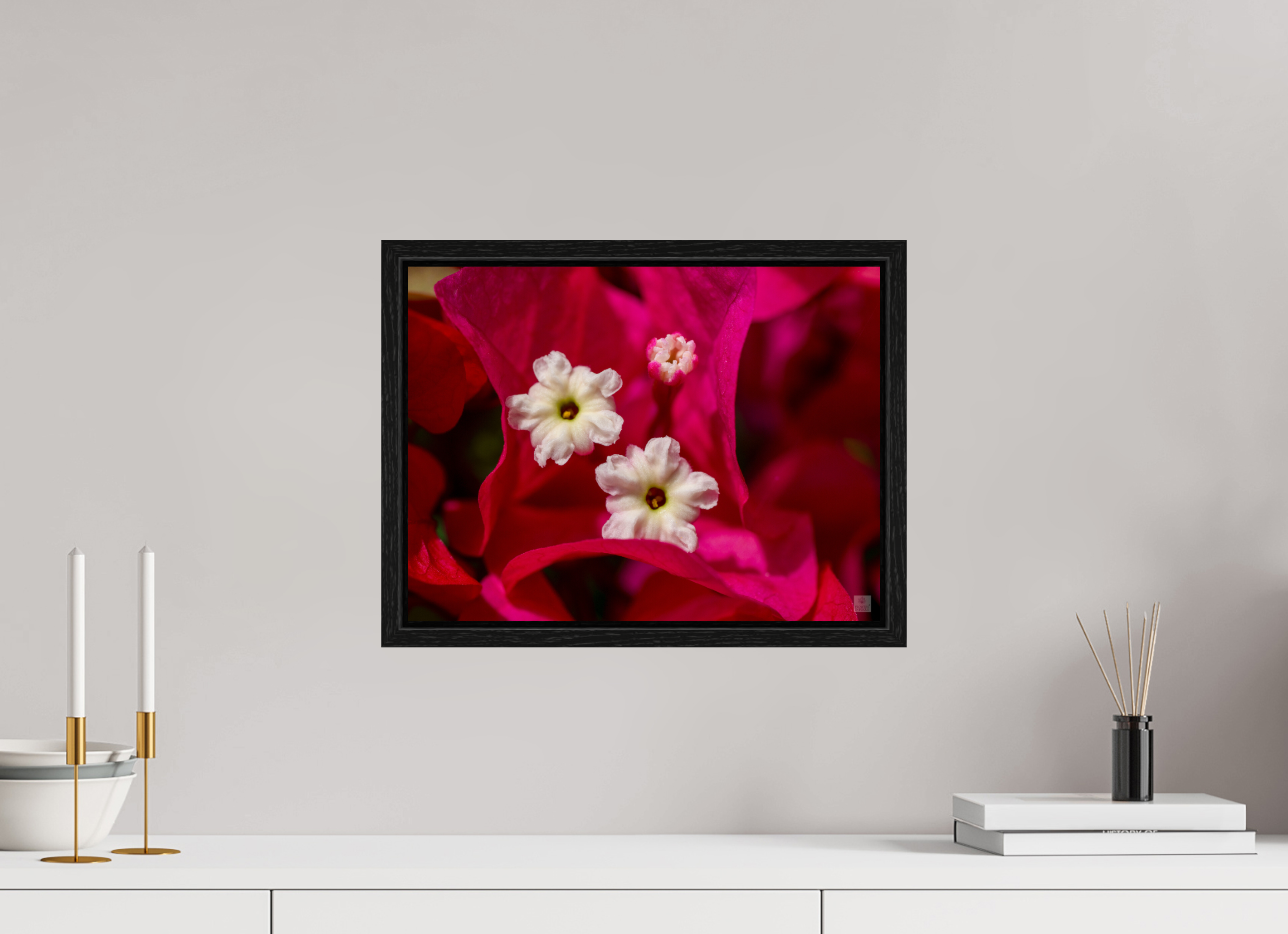 Bougainvillea_pink close-up_aspect ratio 4:3