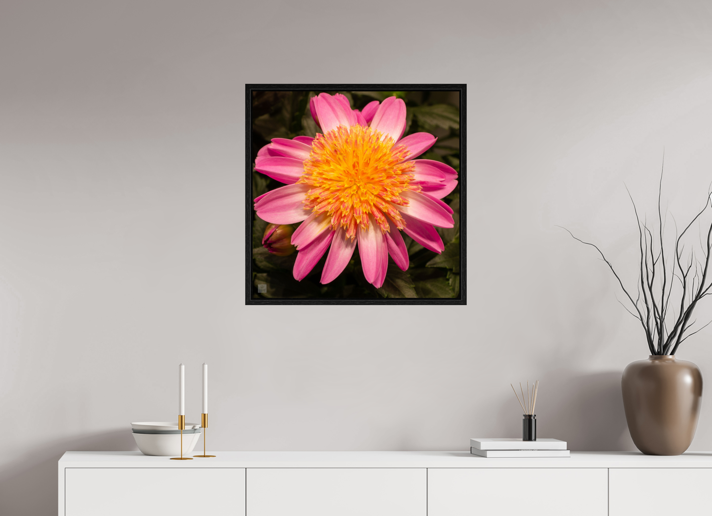 Dahlia_light pink with yellow center_aspect ration 1:1