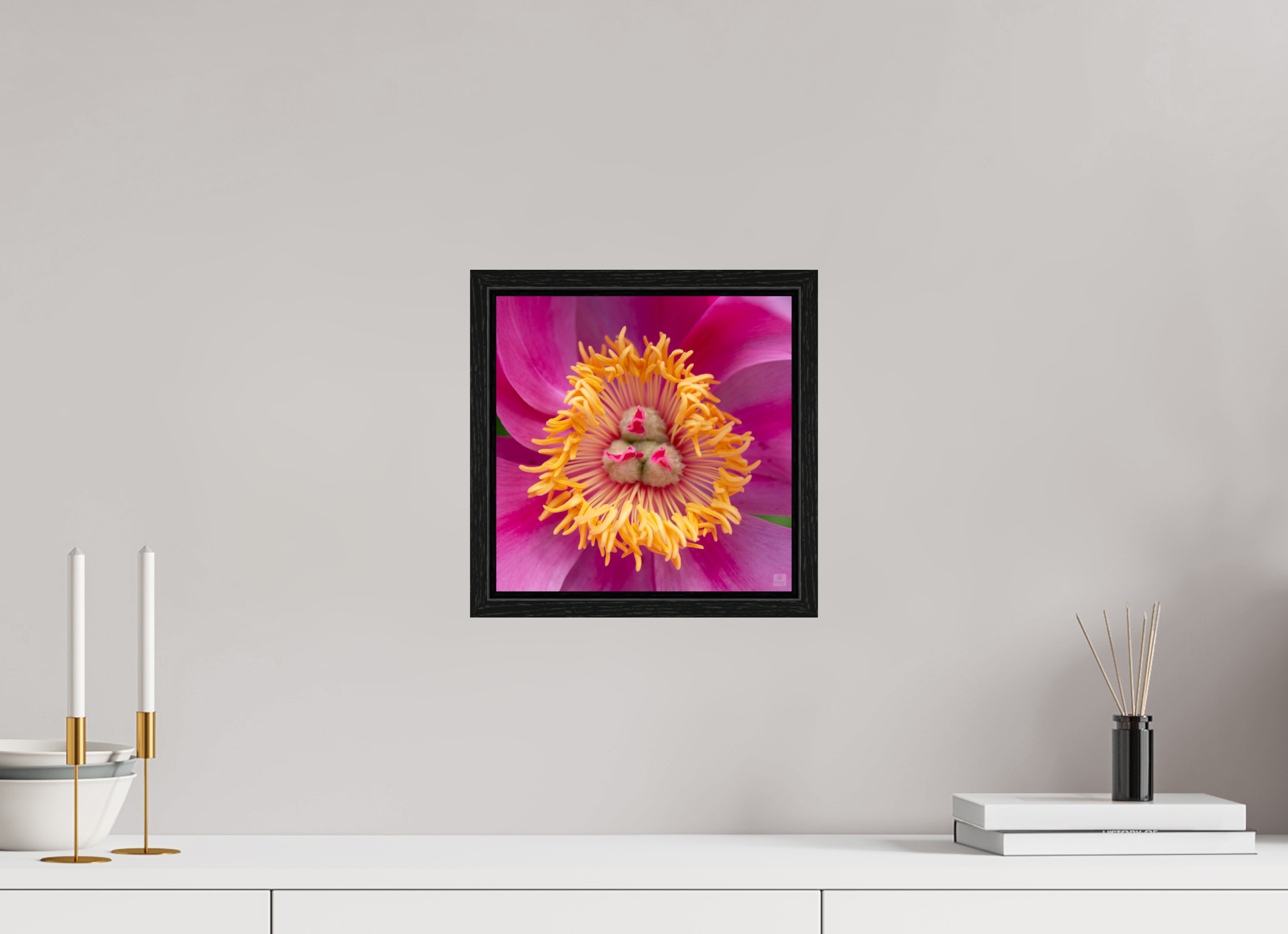 Peony_pink_center-2_aspect ratio 1x1