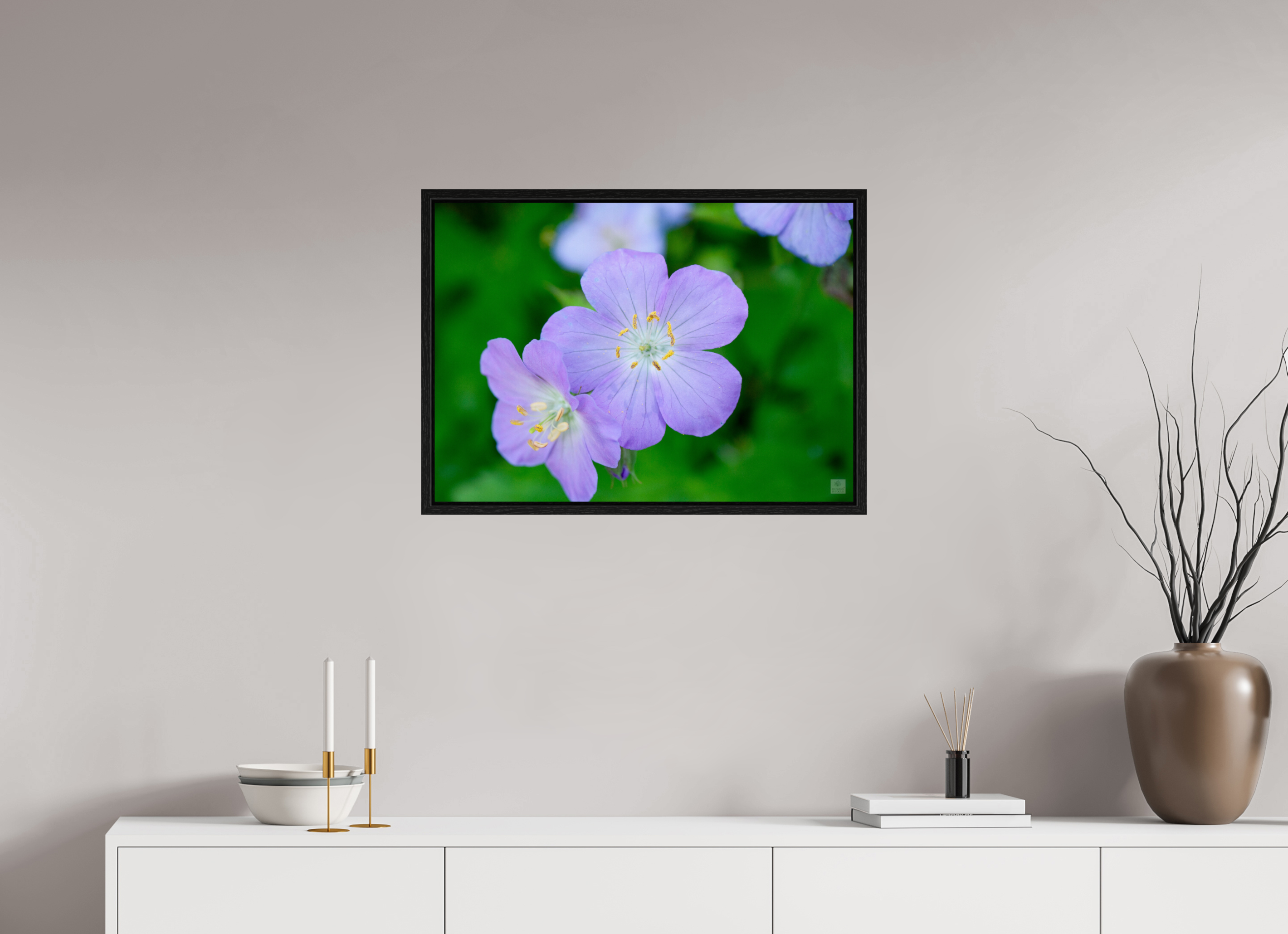 Hardy Geranium_Cranesbill_aspect ratio 7:5
