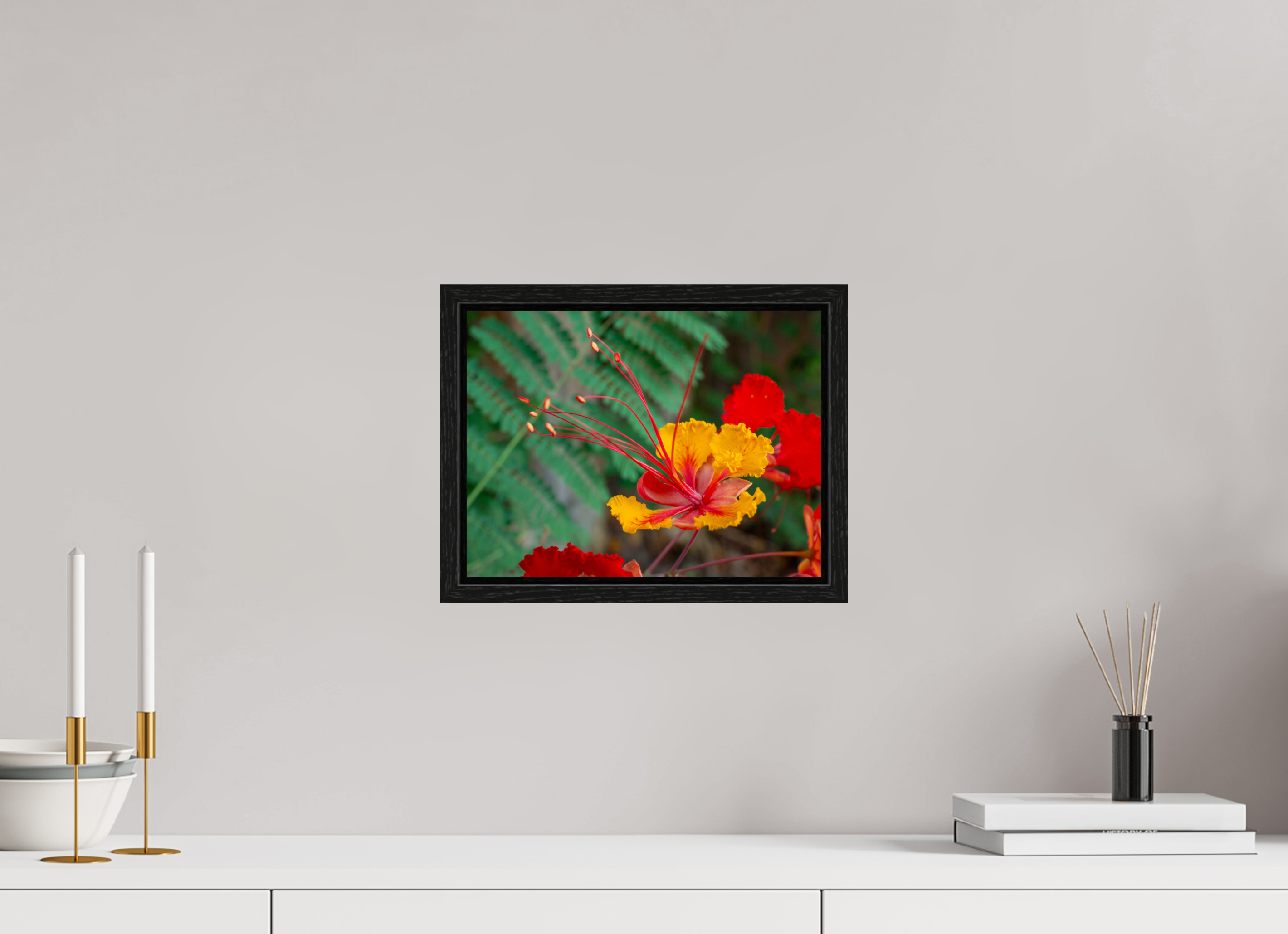 Pride of Barbados_yellow with orange_aspect ratio 4x3
