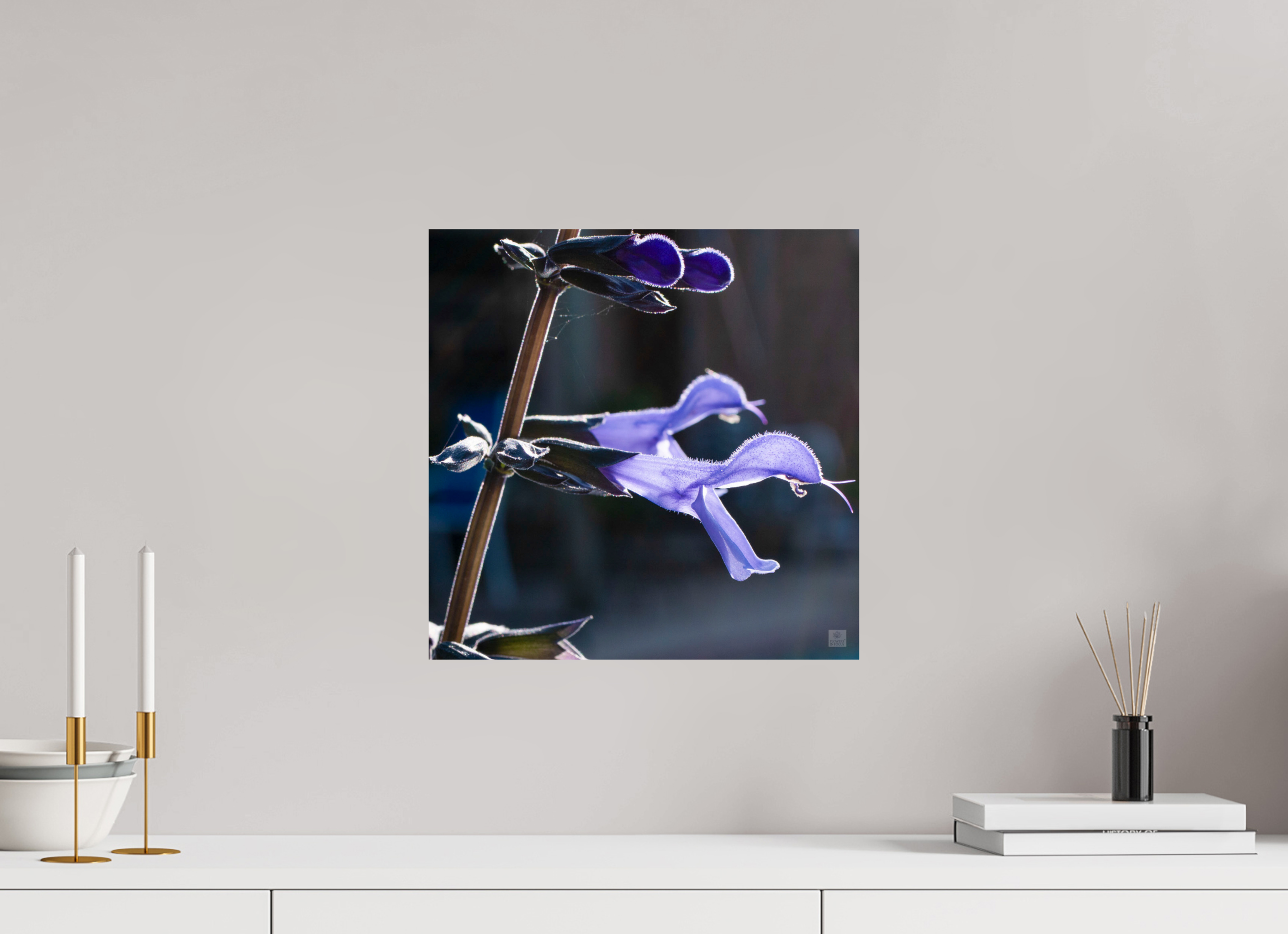 Blue black sage_group_aspect ratio 1x1
