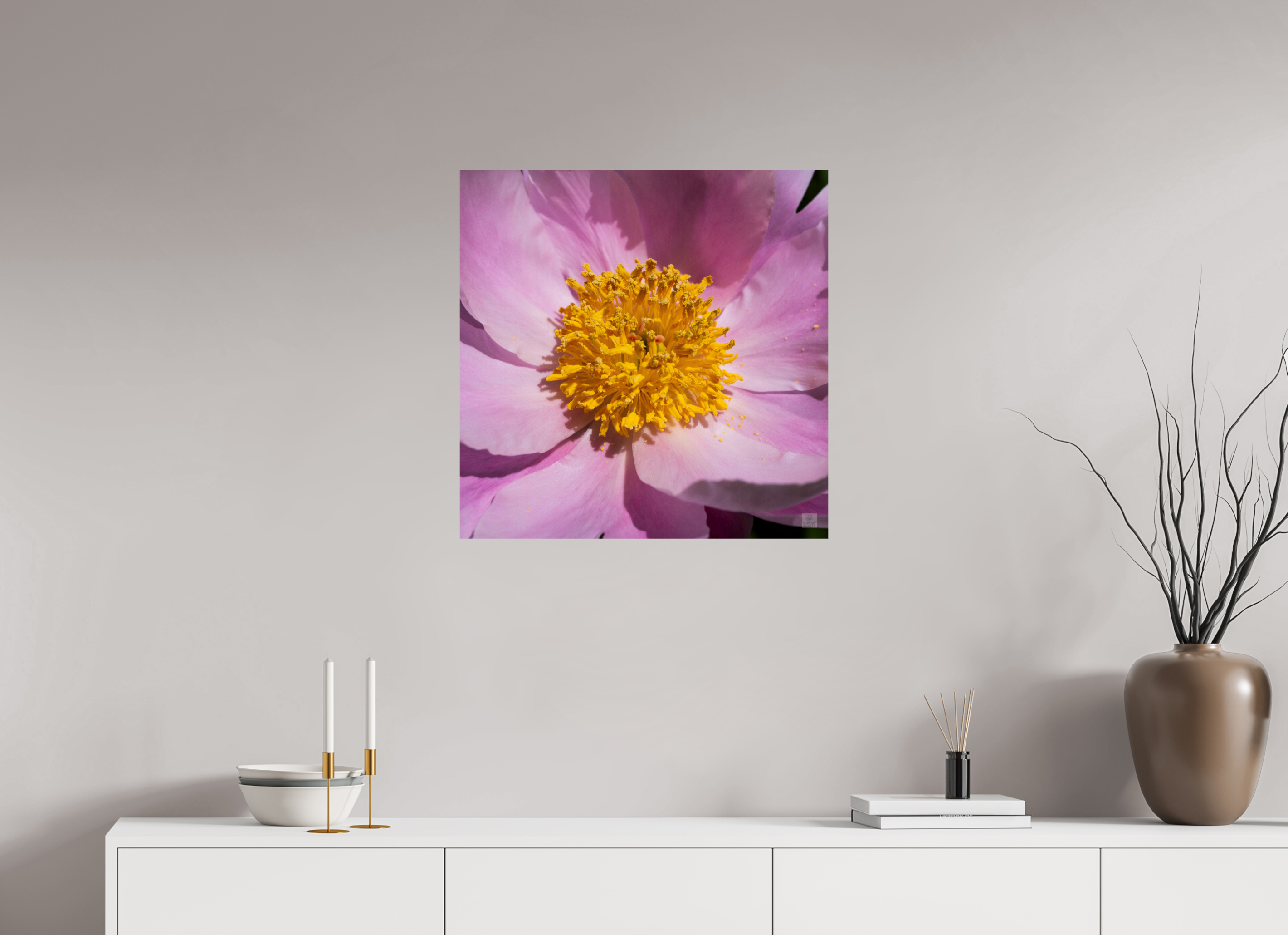 Peony_light pink close-up_aspect ratio 1x1