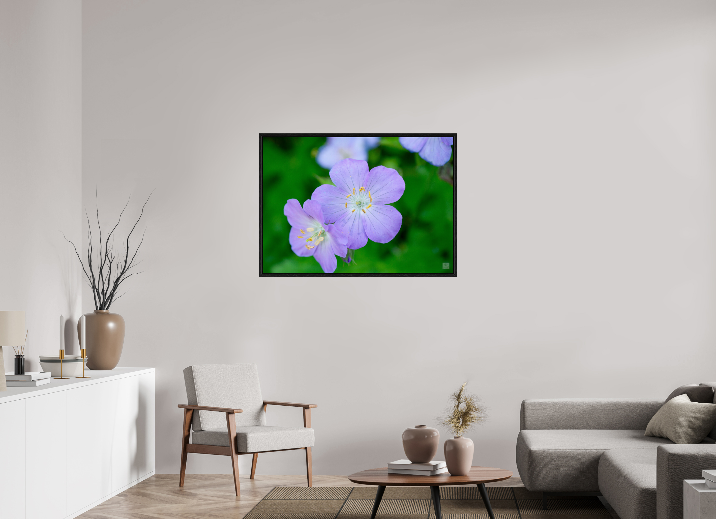 Hardy Geranium_Cranesbill_aspect ratio 7:5