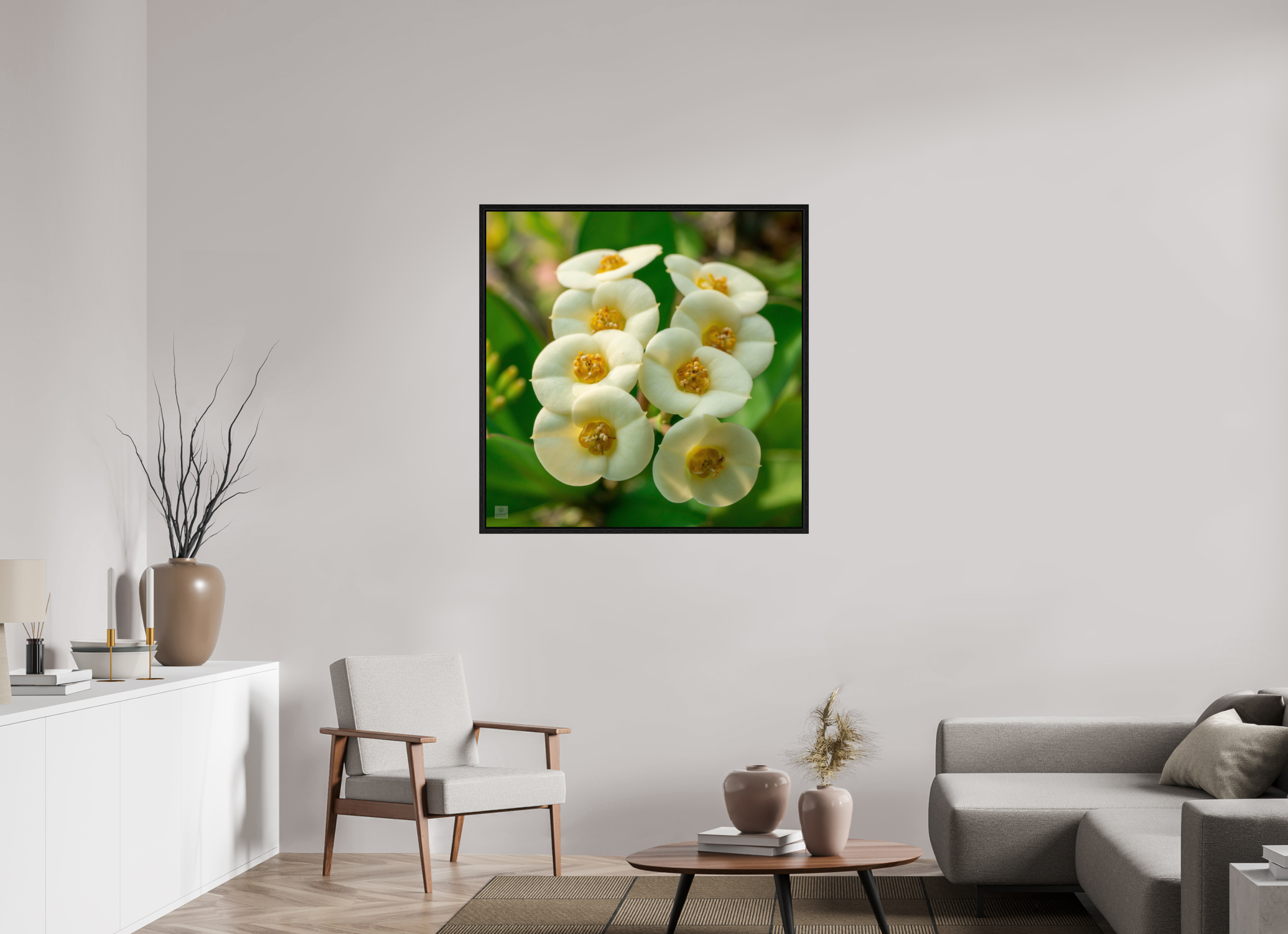 Crown of Thorns_flower group_aspect ratio 1:1