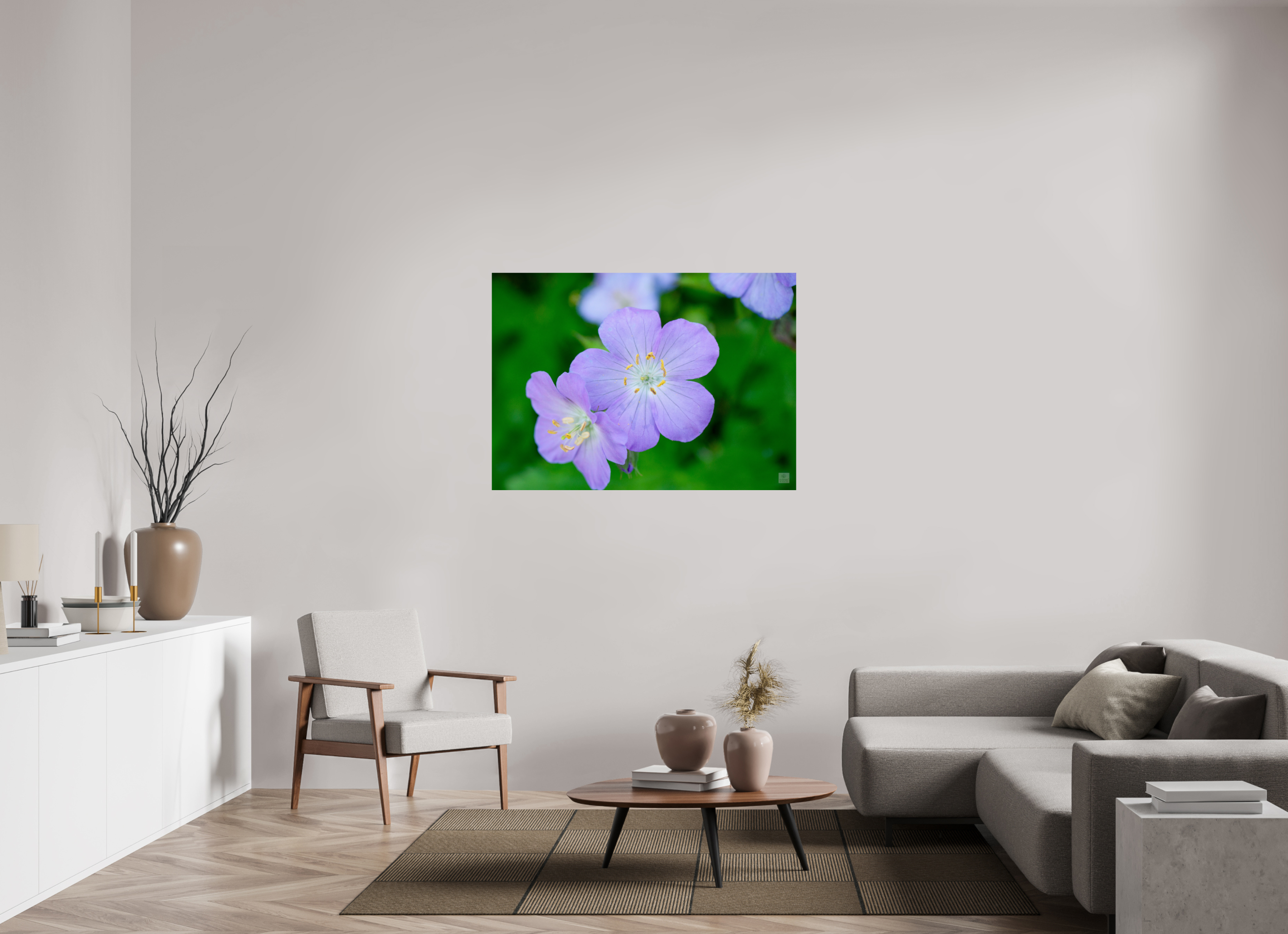 Hardy Geranium_Cranesbill_aspect ratio 7:5