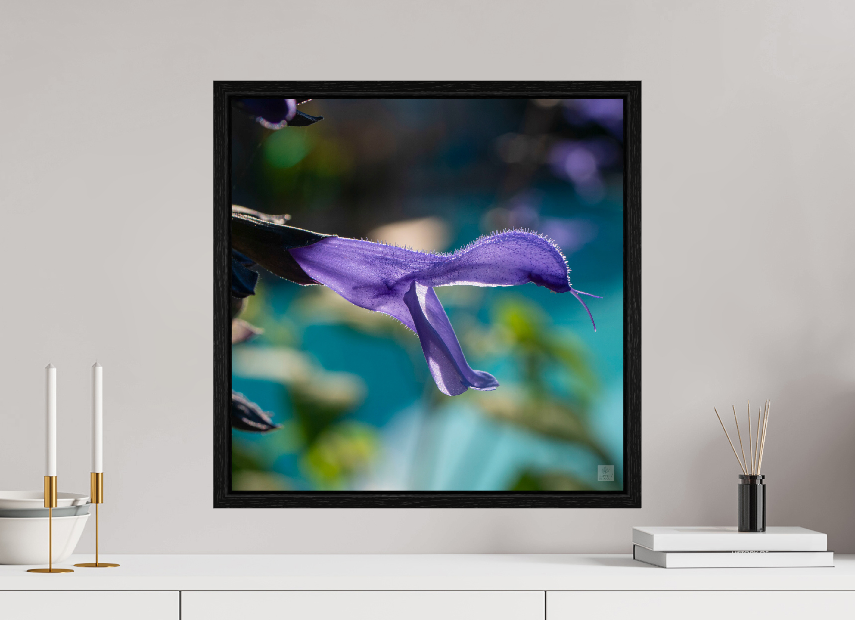Blue black sage_single_aspect ratio 1x1