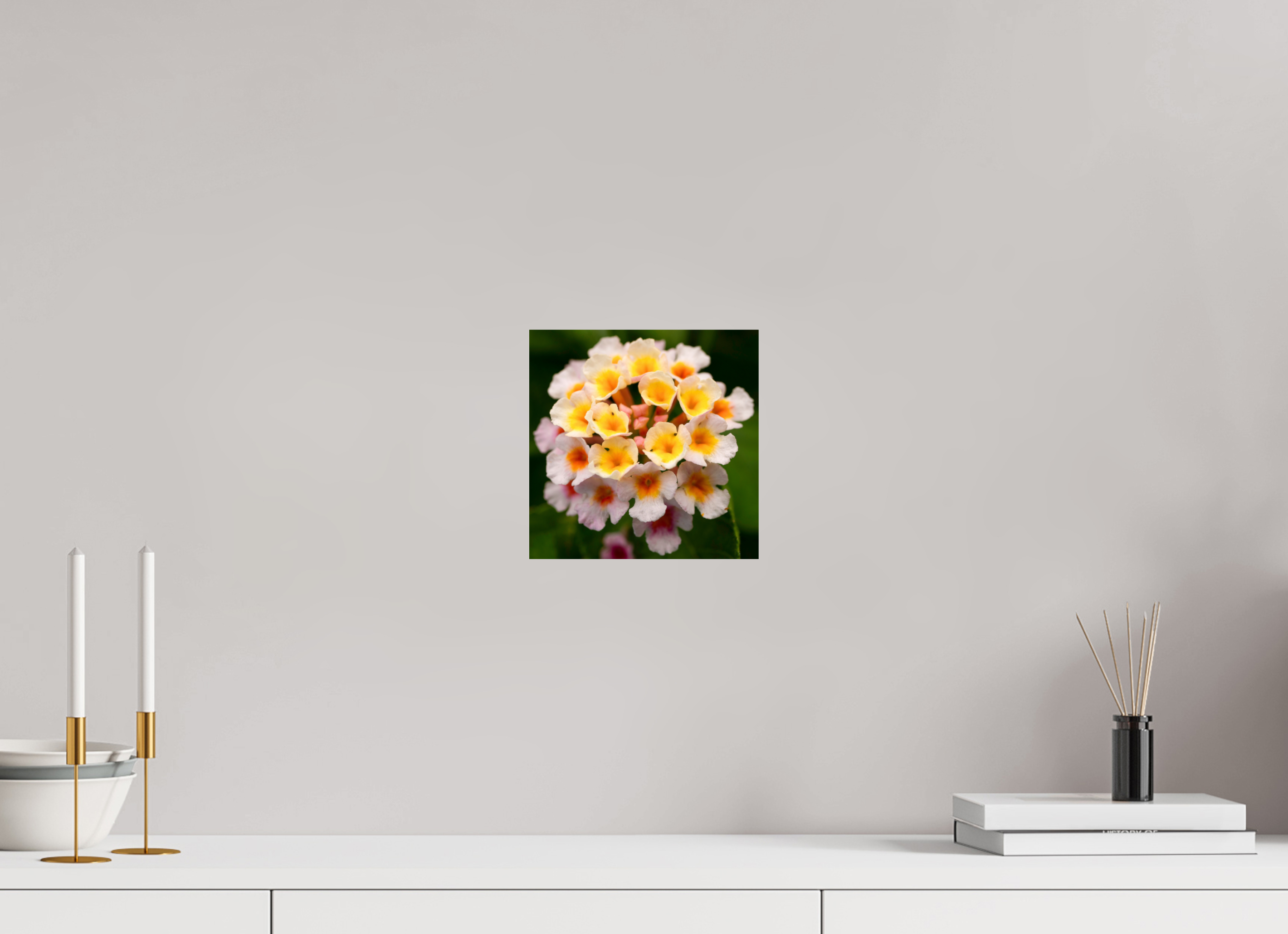 Lantana_light yellow with pale pink_aspect ratio 1x1