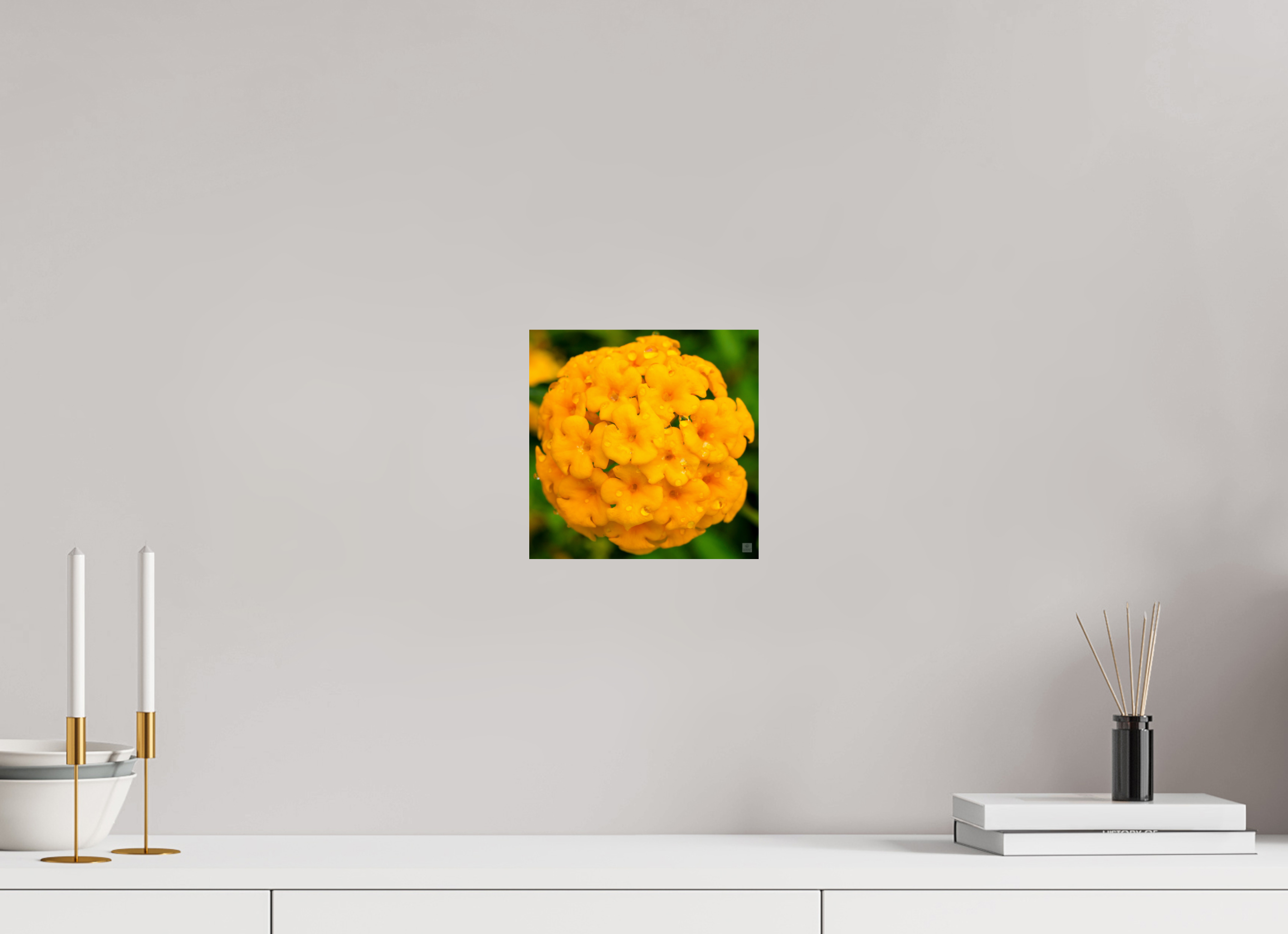 Lantana hybrid_yellow (with water droplets)_aspect ration 1x1