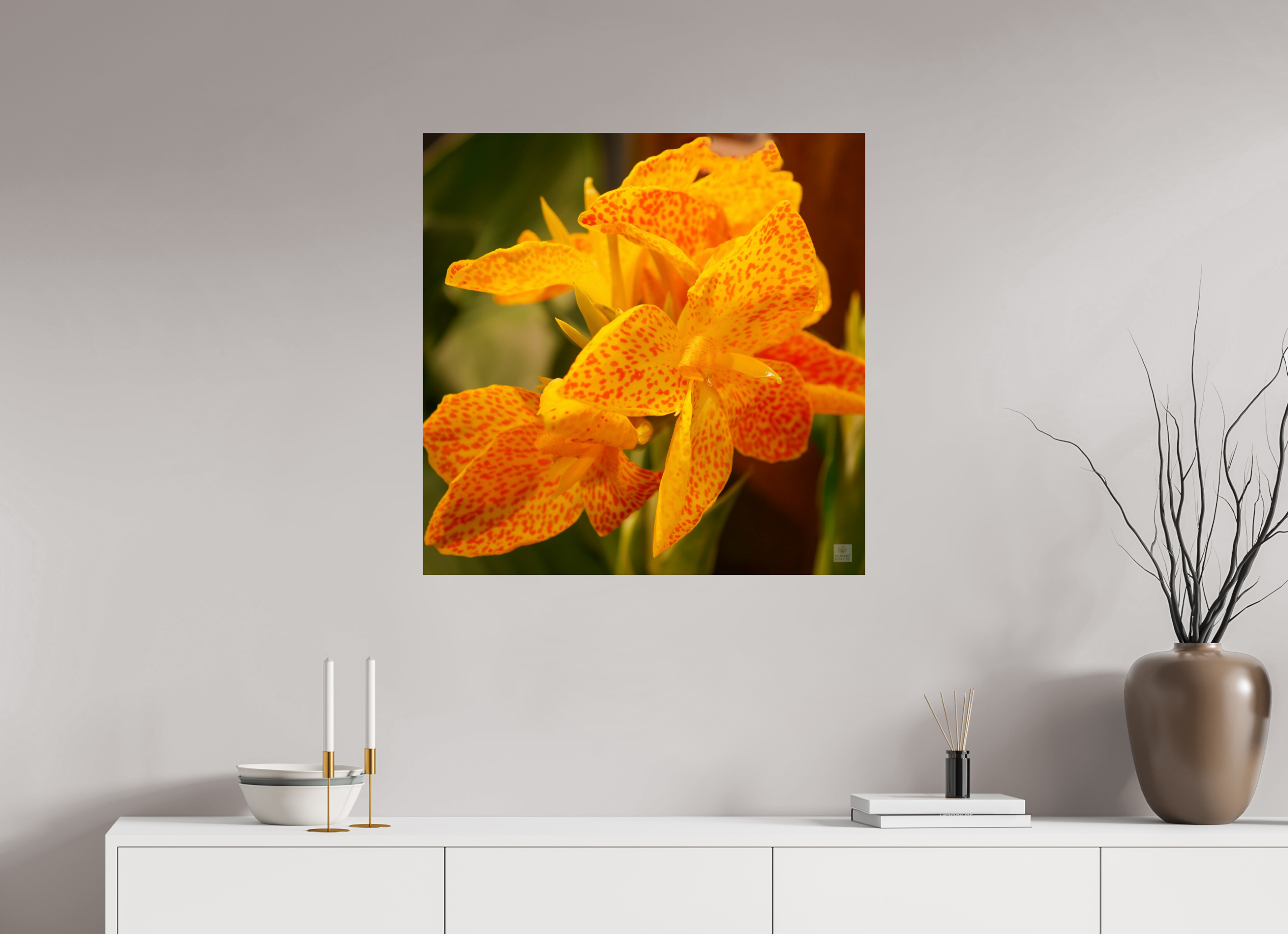 Canna lily_orange & yellow_aspect ratio 1:1