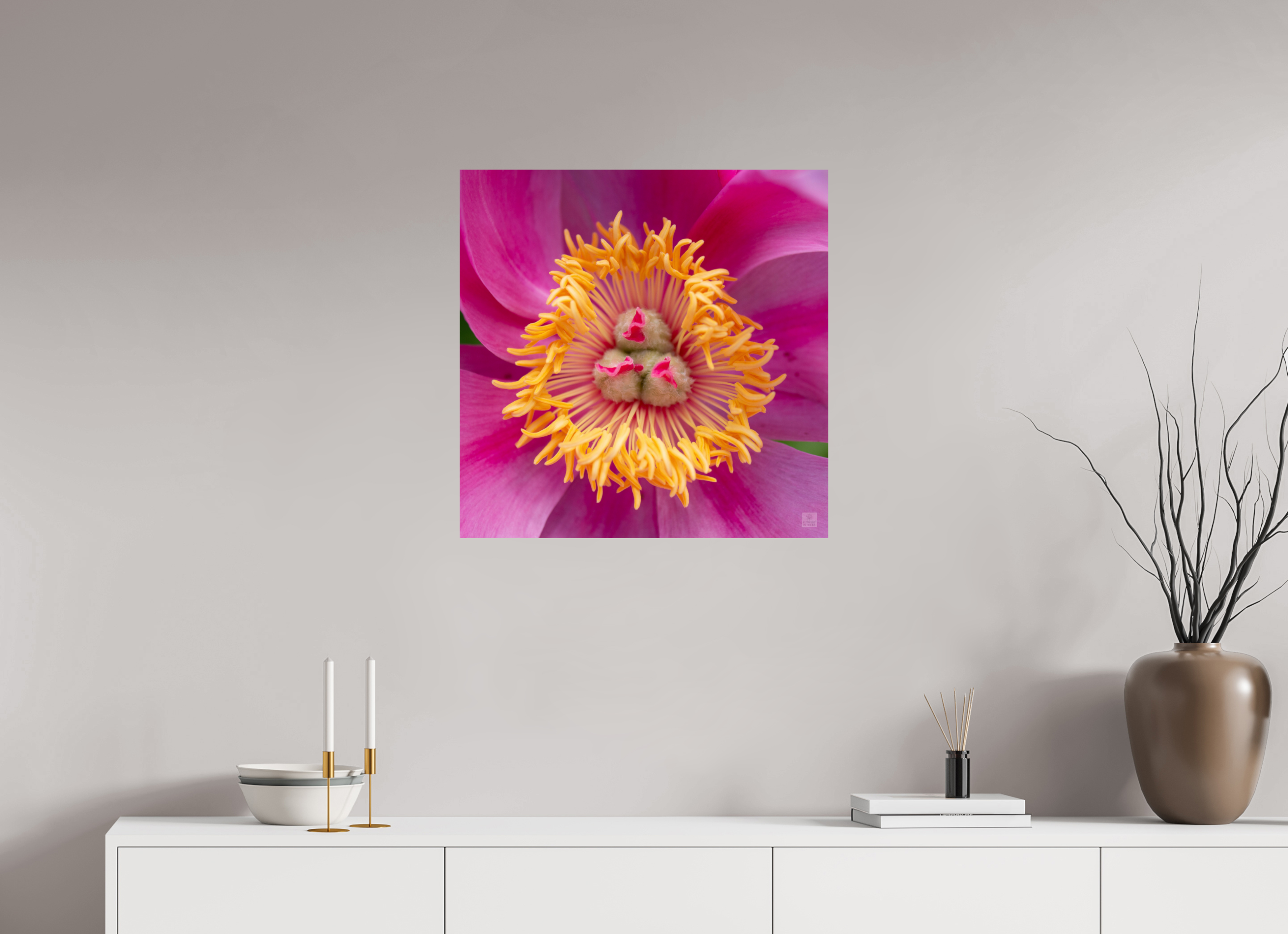 Peony_pink_center-2_aspect ratio 1x1