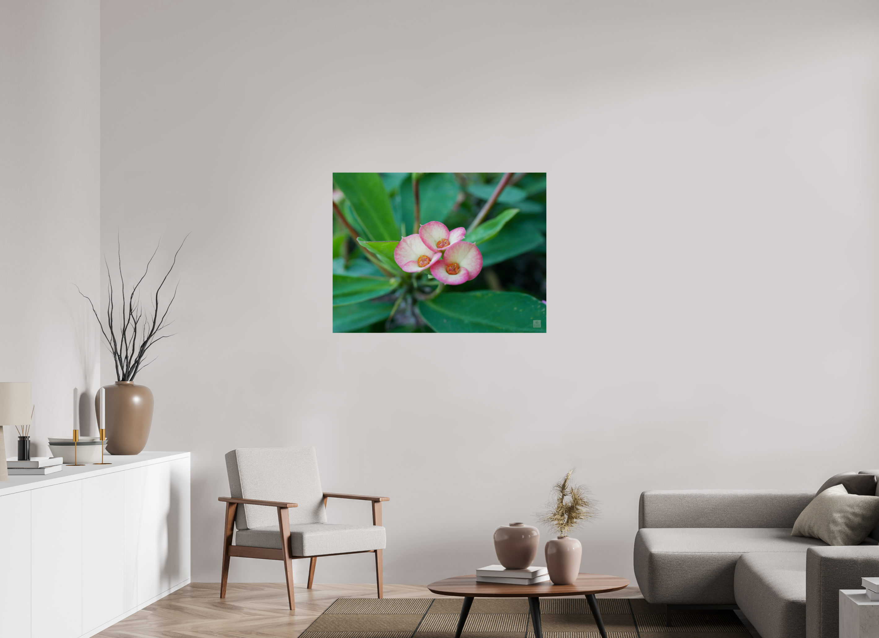 Crown of Thorns_pink fringe_aspect ratio 4:3