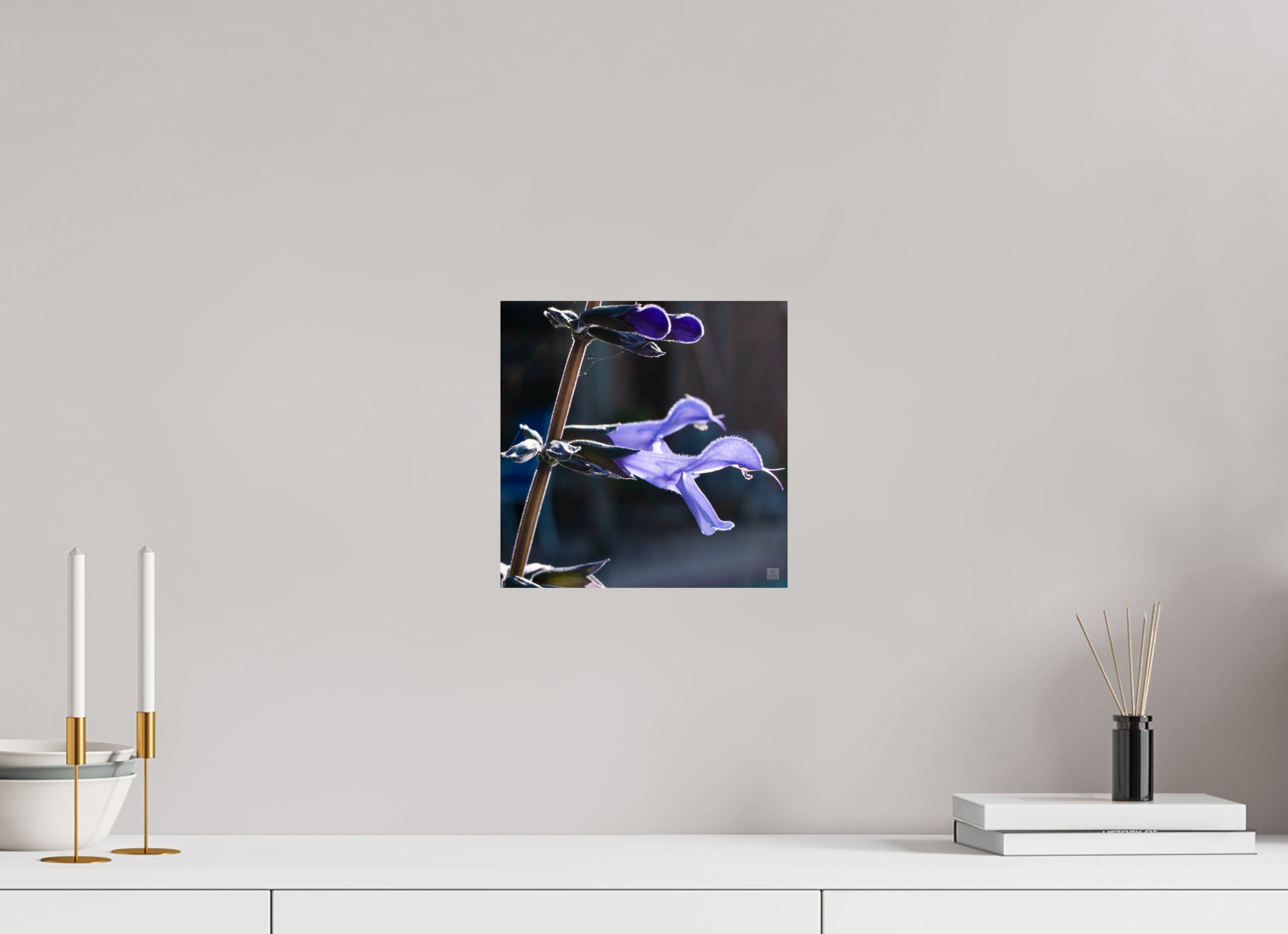 Blue black sage_group_aspect ratio 1x1