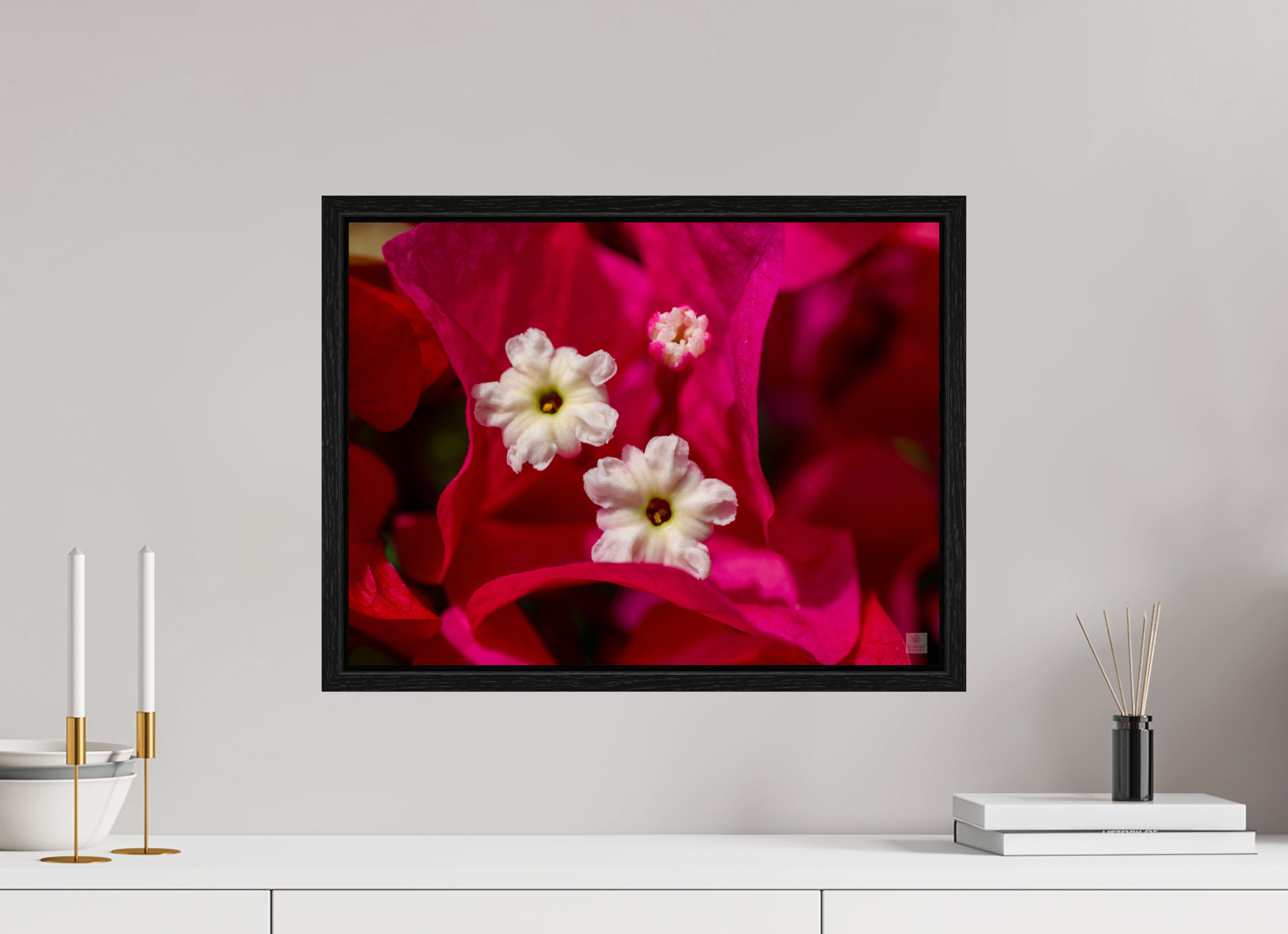 Bougainvillea_pink close-up_aspect ratio 4:3